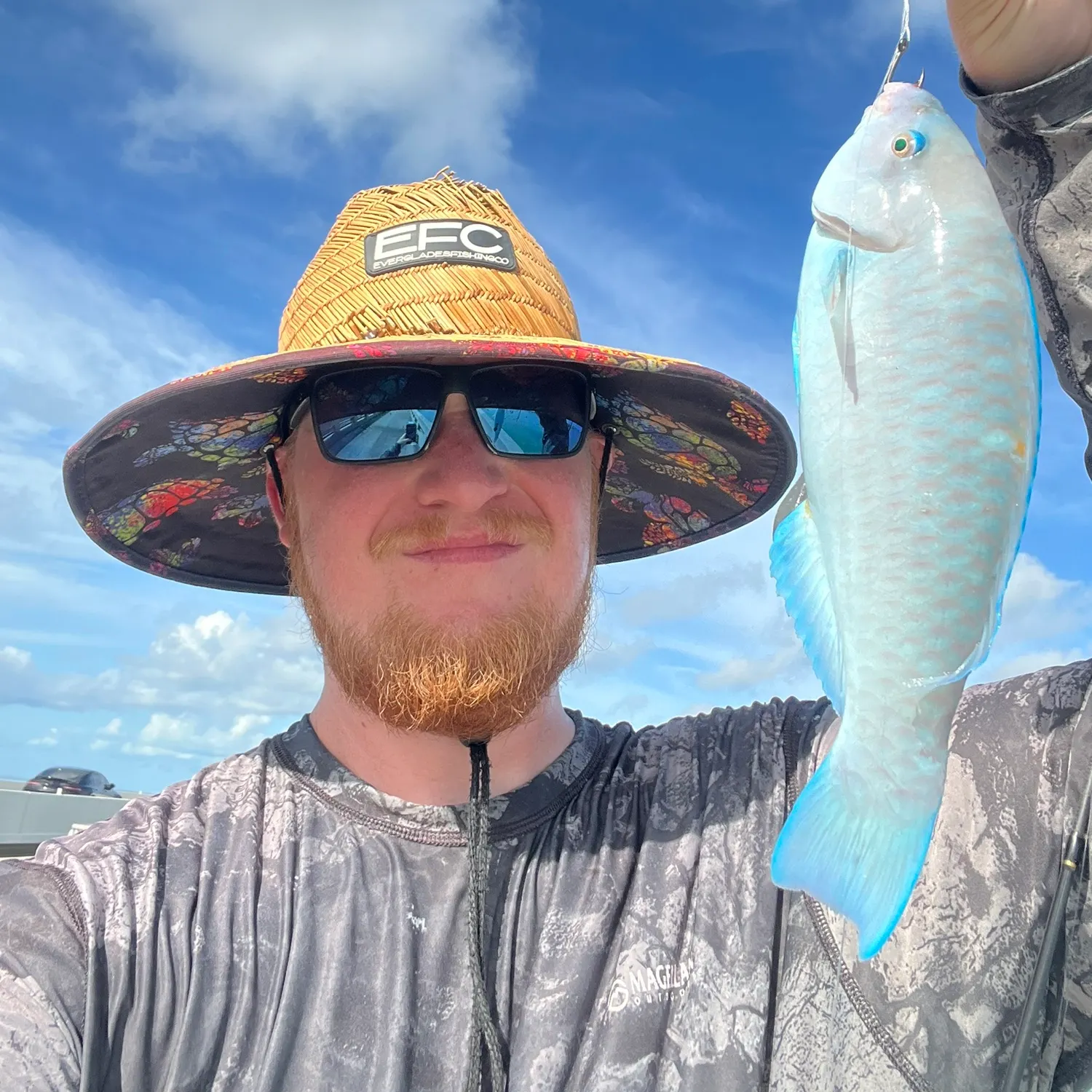 The most recent Blue parrotfish catches on Fishbrain