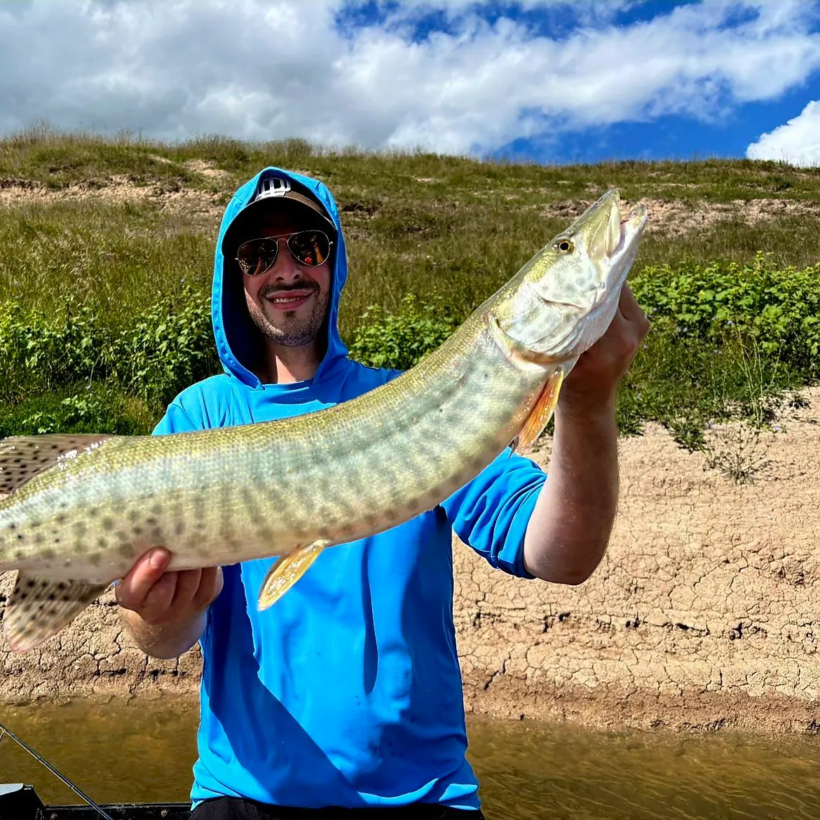 Muskie caught on Fishbrain