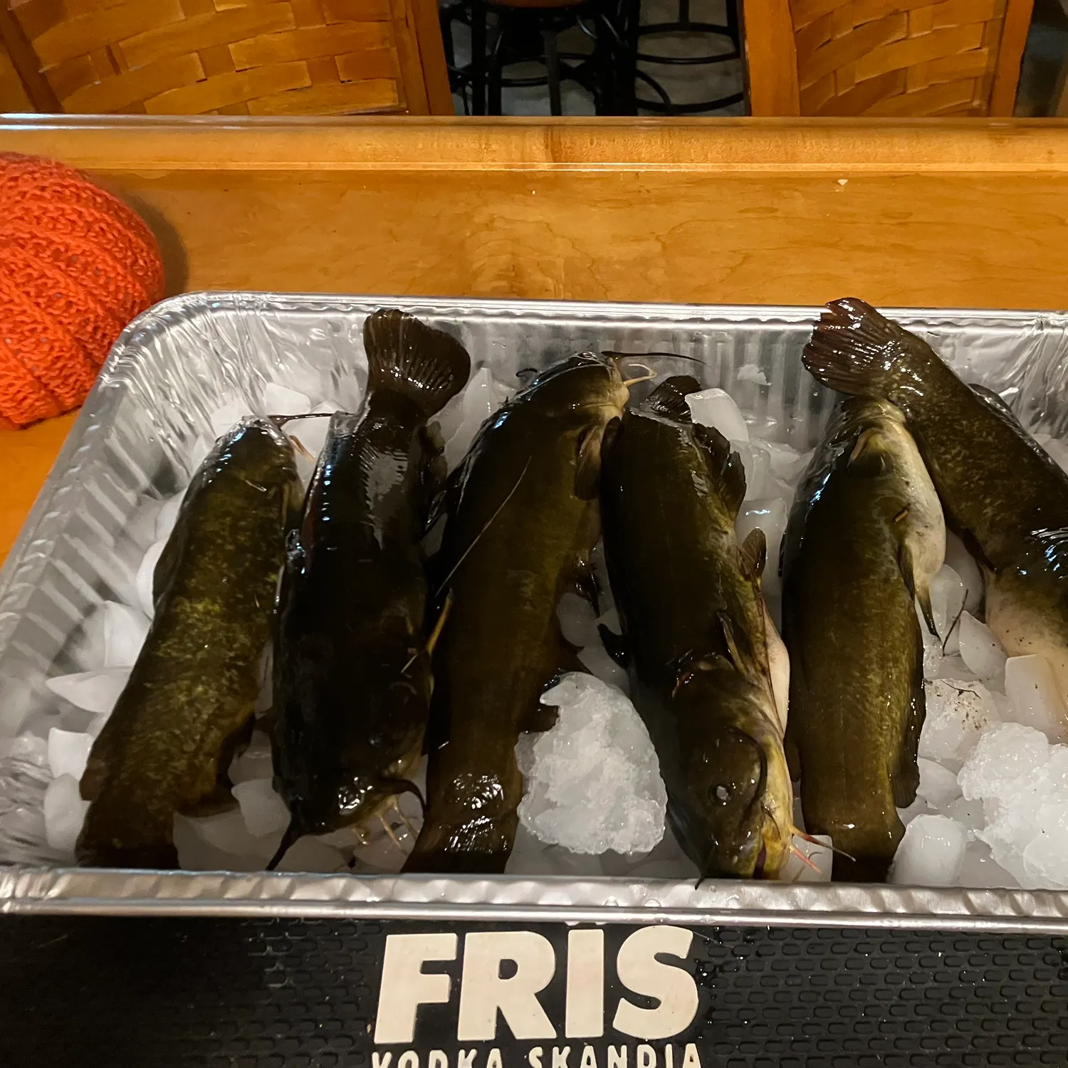 Yellow bullhead caught on Fishbrain