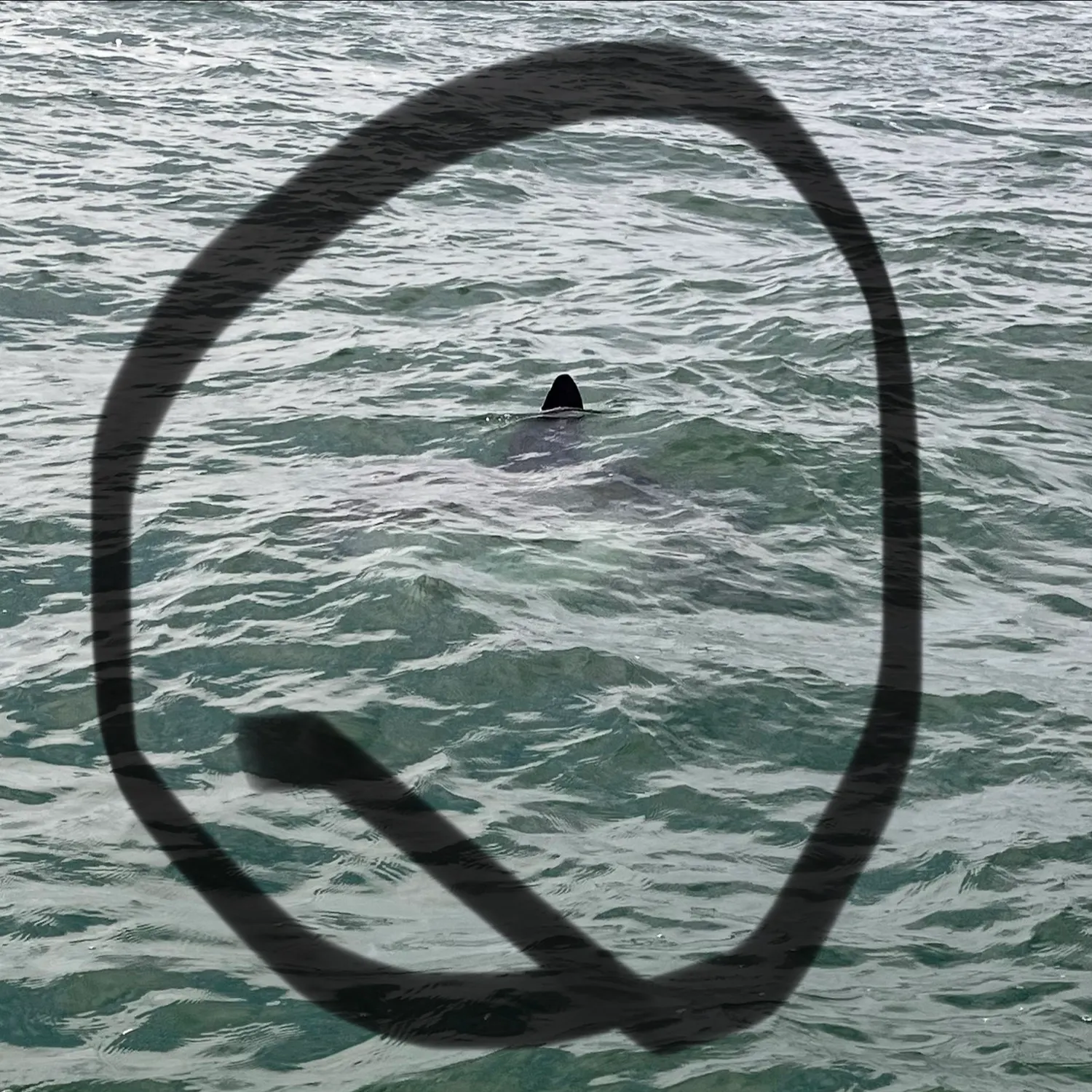 Slender sunfish caught on Fishbrain