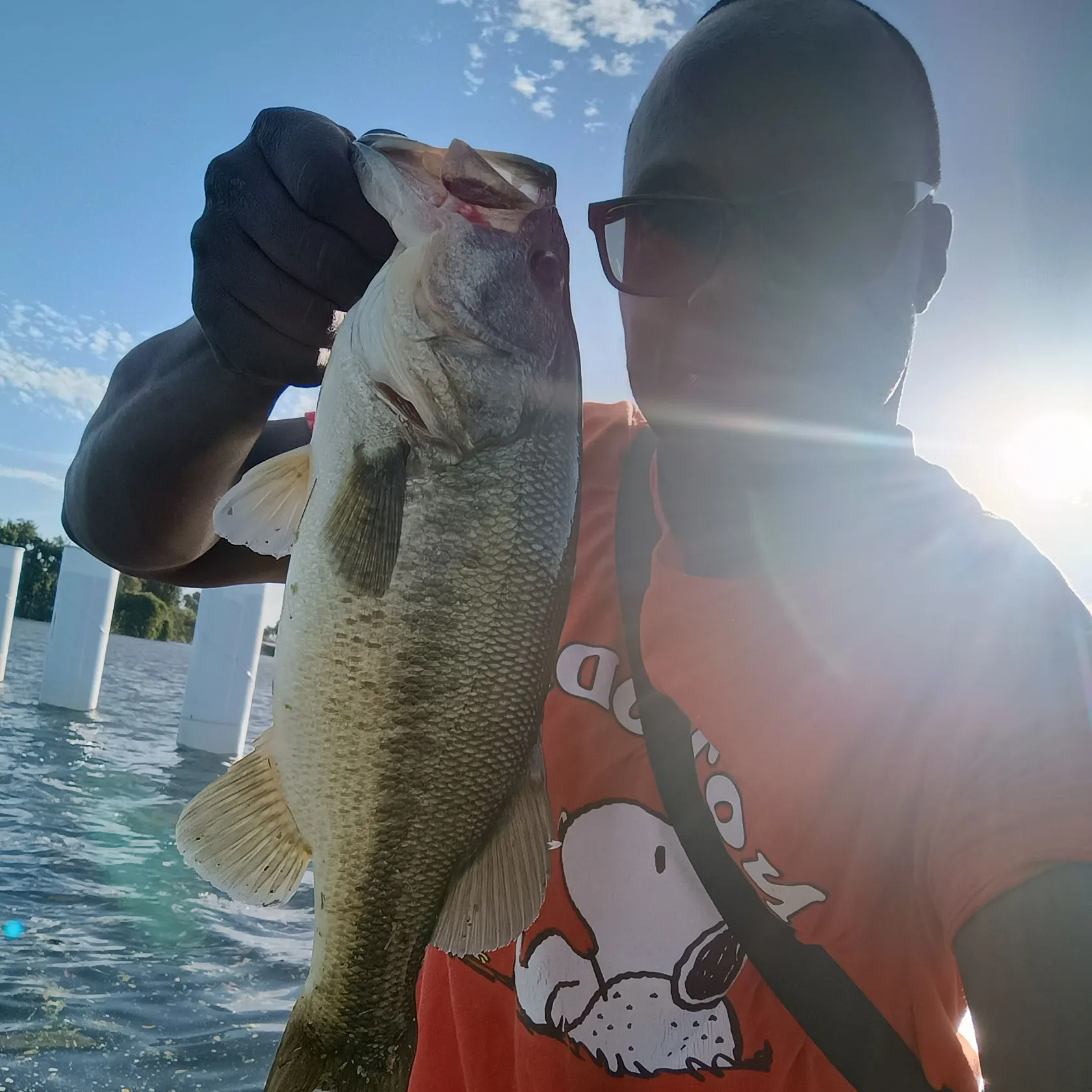 Largemouth bass caught on Fishbrain