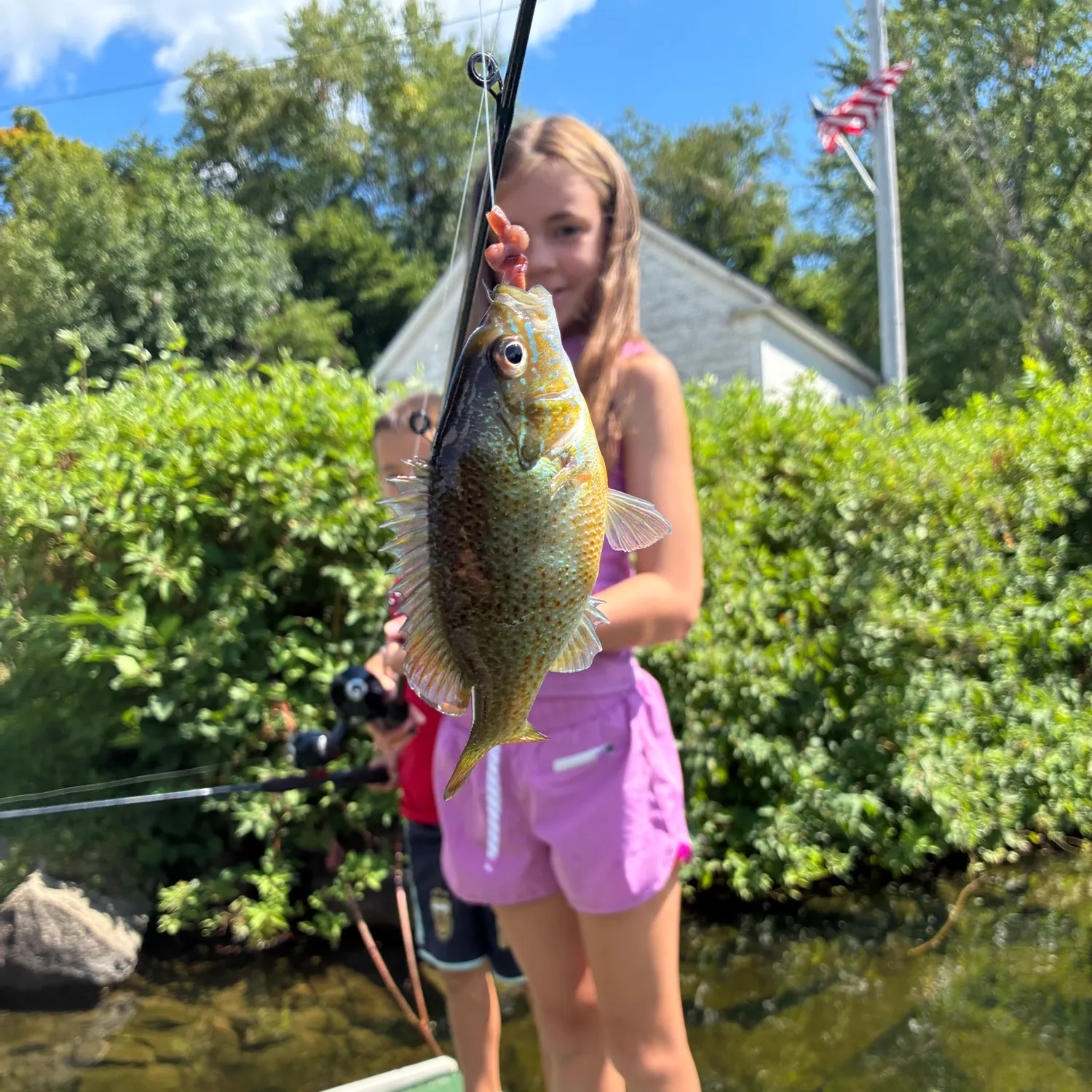 Redbreast sunfish caught on Fishbrain