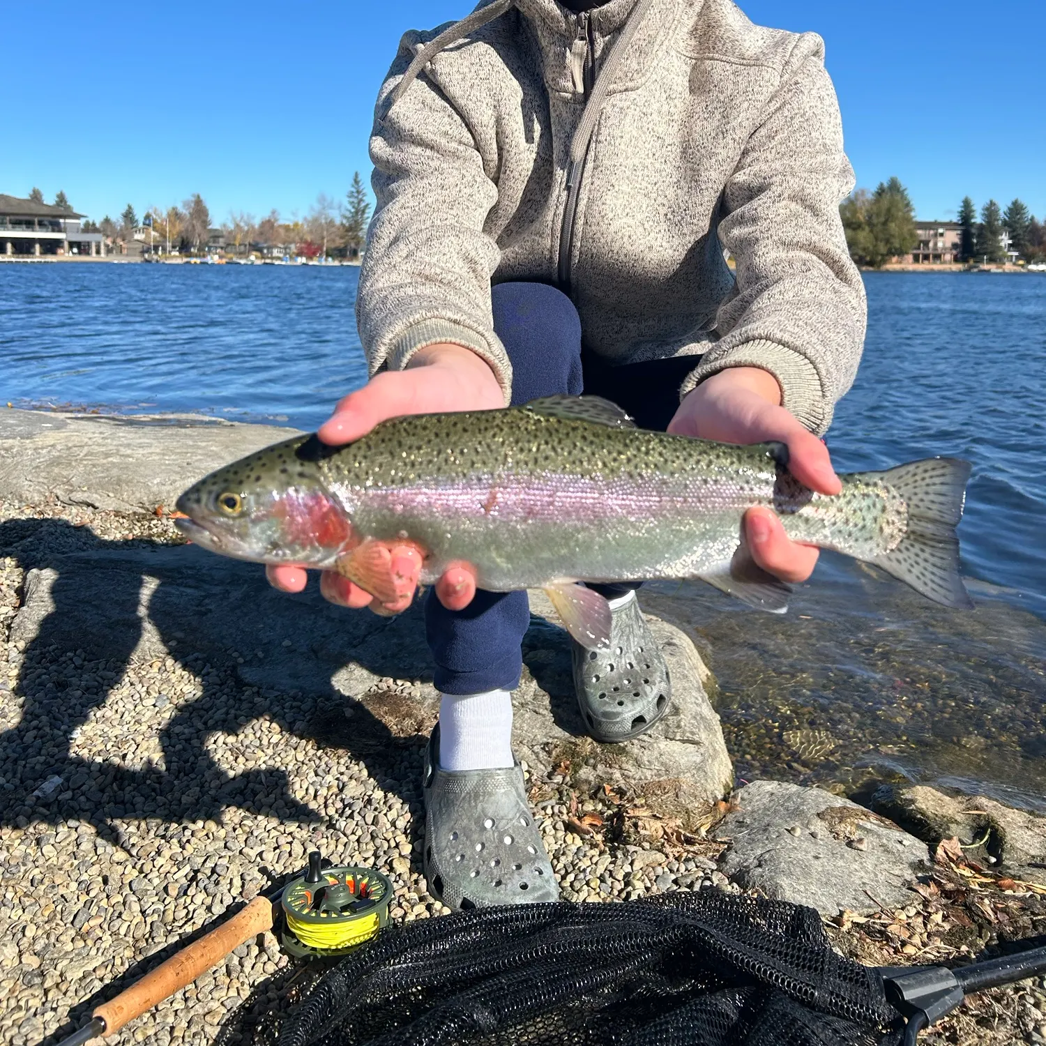 Rainbow trout caught on Fishbrain