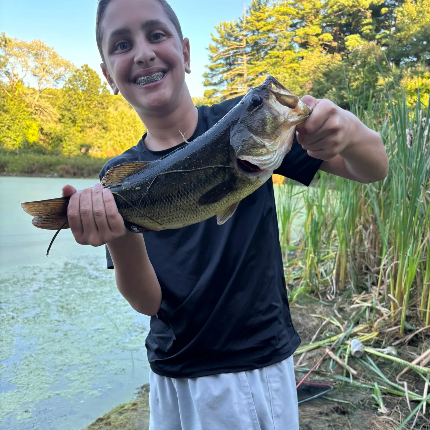 Largemouth bass caught on Fishbrain