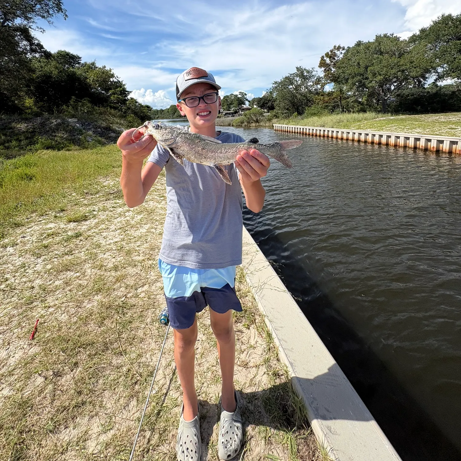 Hardhead sea catfish caught on Fishbrain