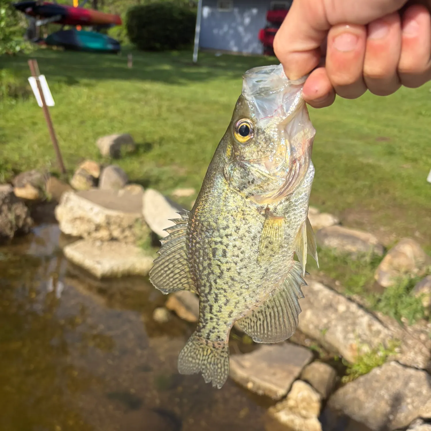 catch