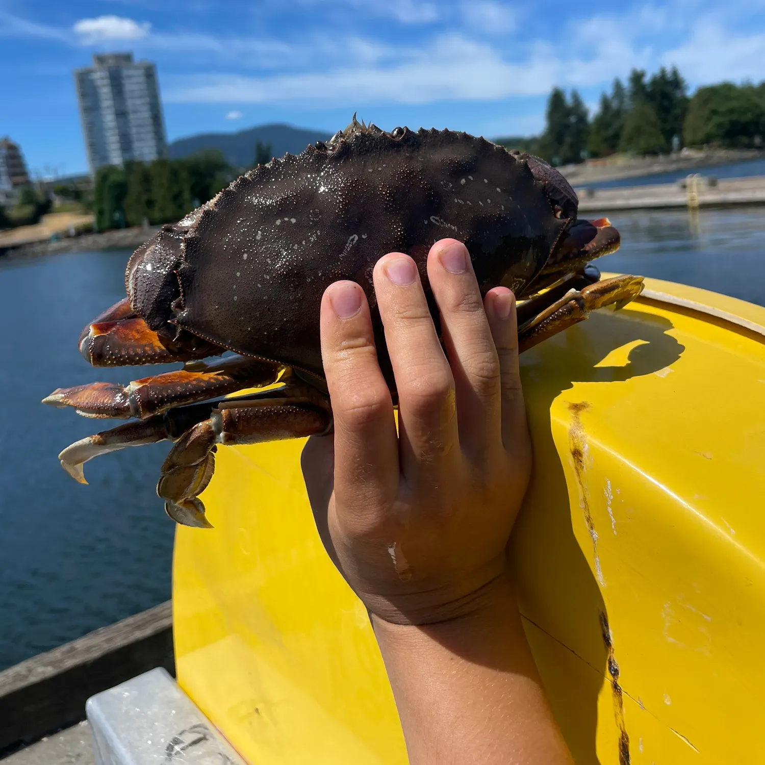 catch