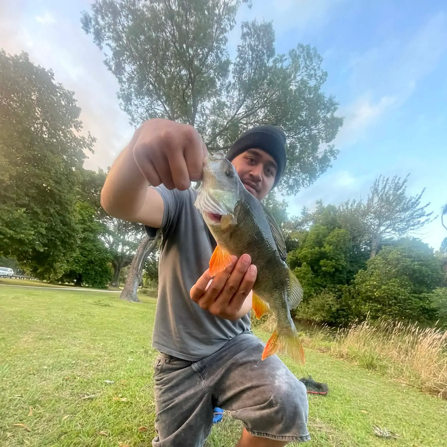 The most recent European perch catches on Fishbrain