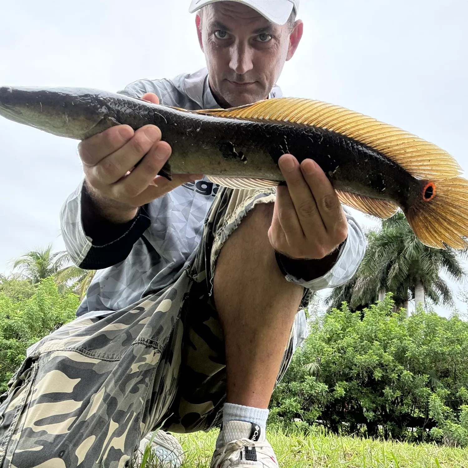 The most recent Bullseye snakehead catches on Fishbrain