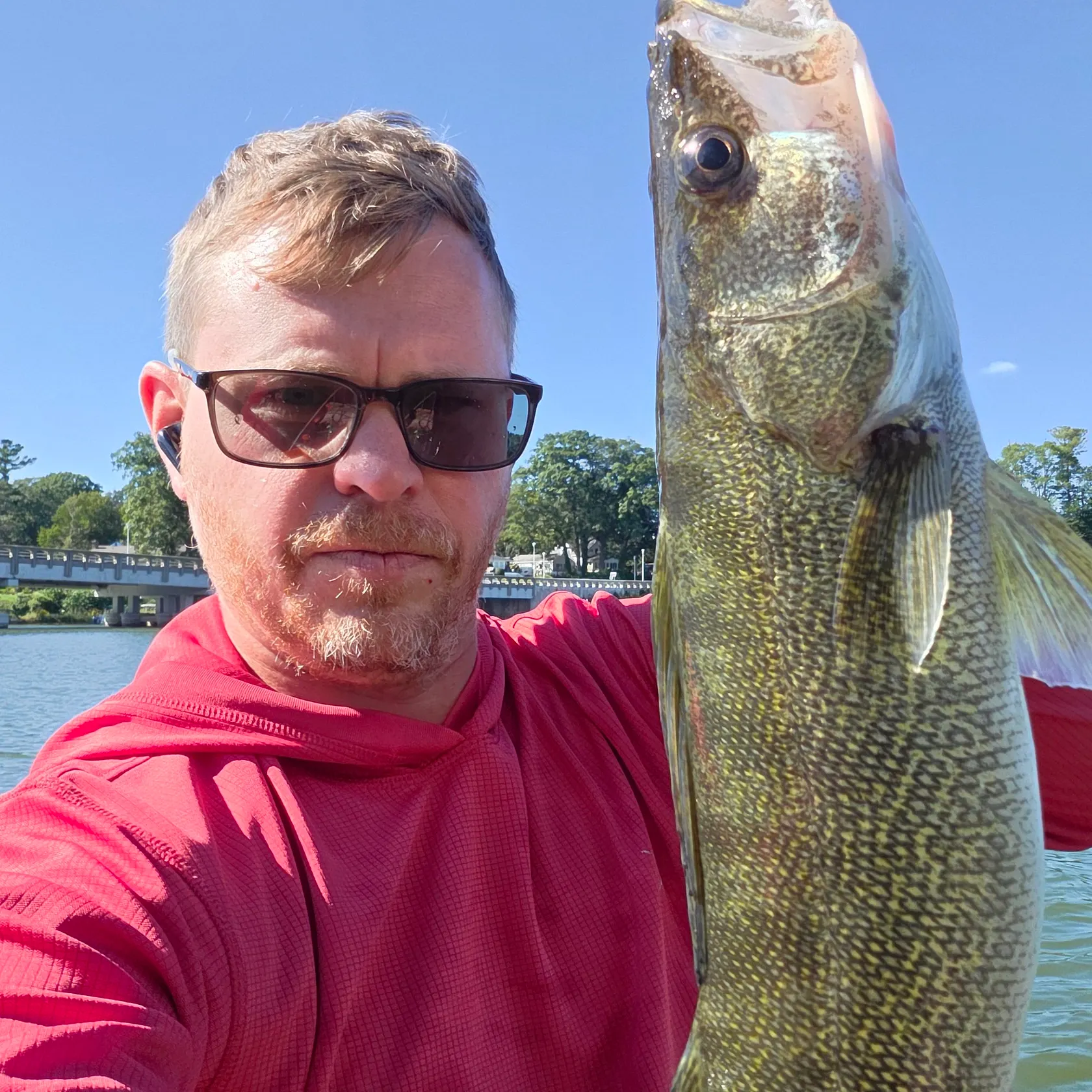 Walleye caught on Fishbrain