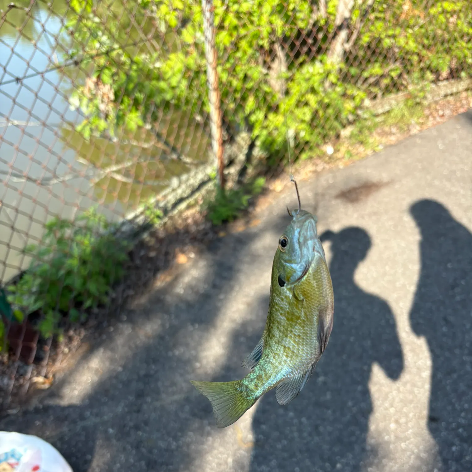 catch