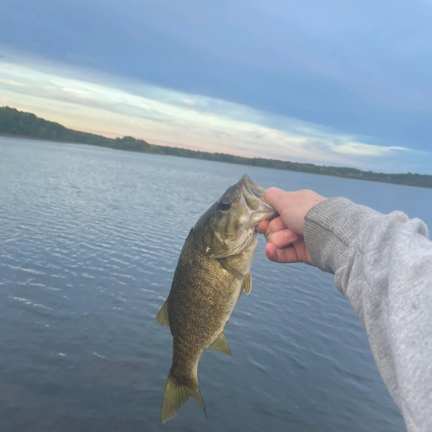 Smallmouth bass caught on Fishbrain