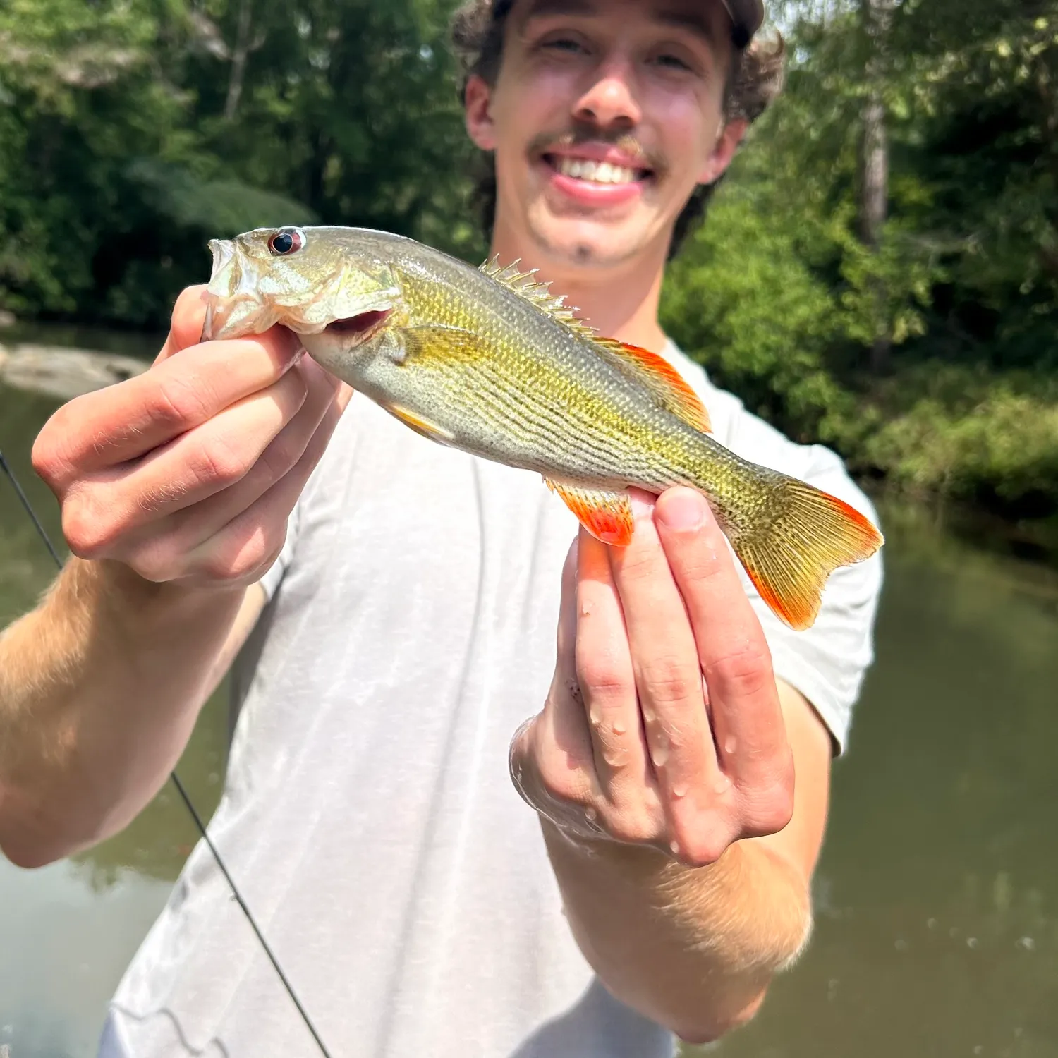 Chattahoochee bass caught on Fishbrain