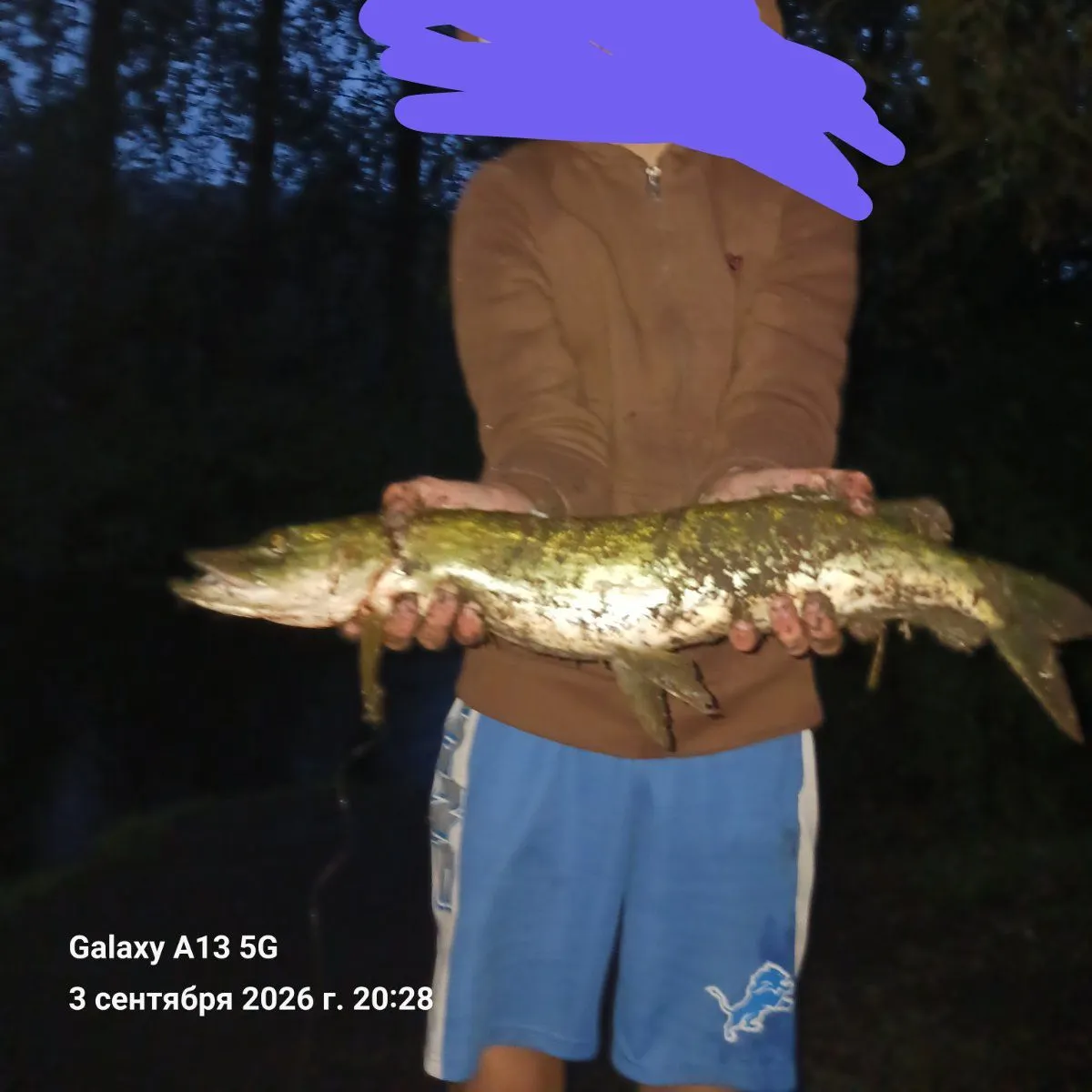 Northern pike caught on Fishbrain