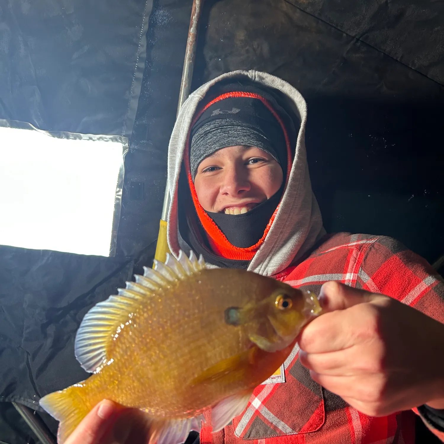 The most recent Bluegill catches on Fishbrain