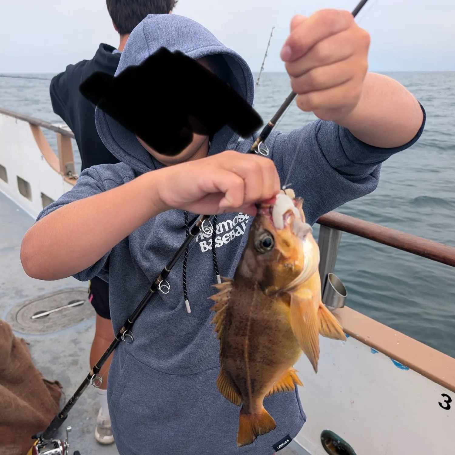 The most recent Vermilion rockfish catches on Fishbrain