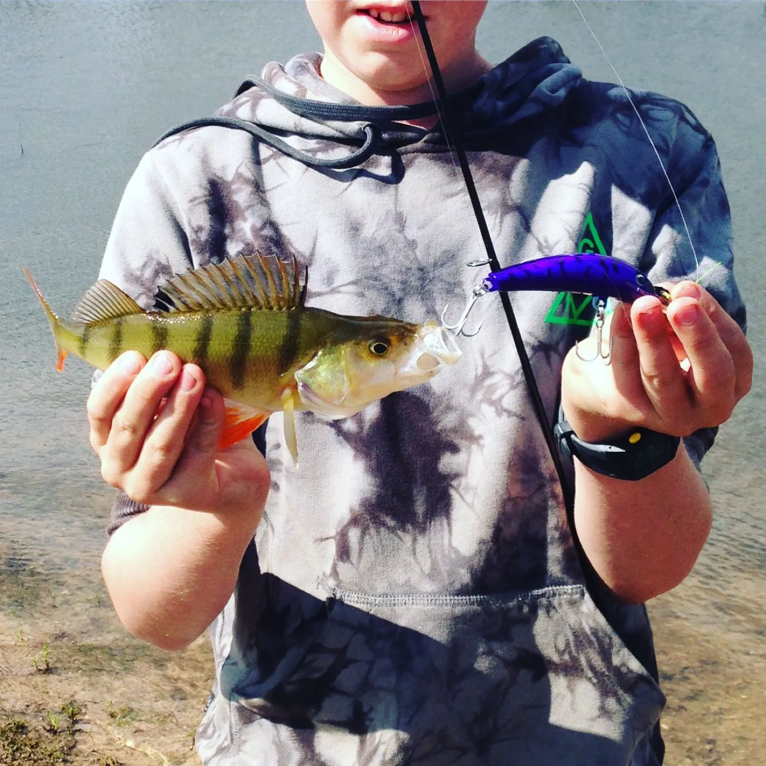 Post image from twebber7903