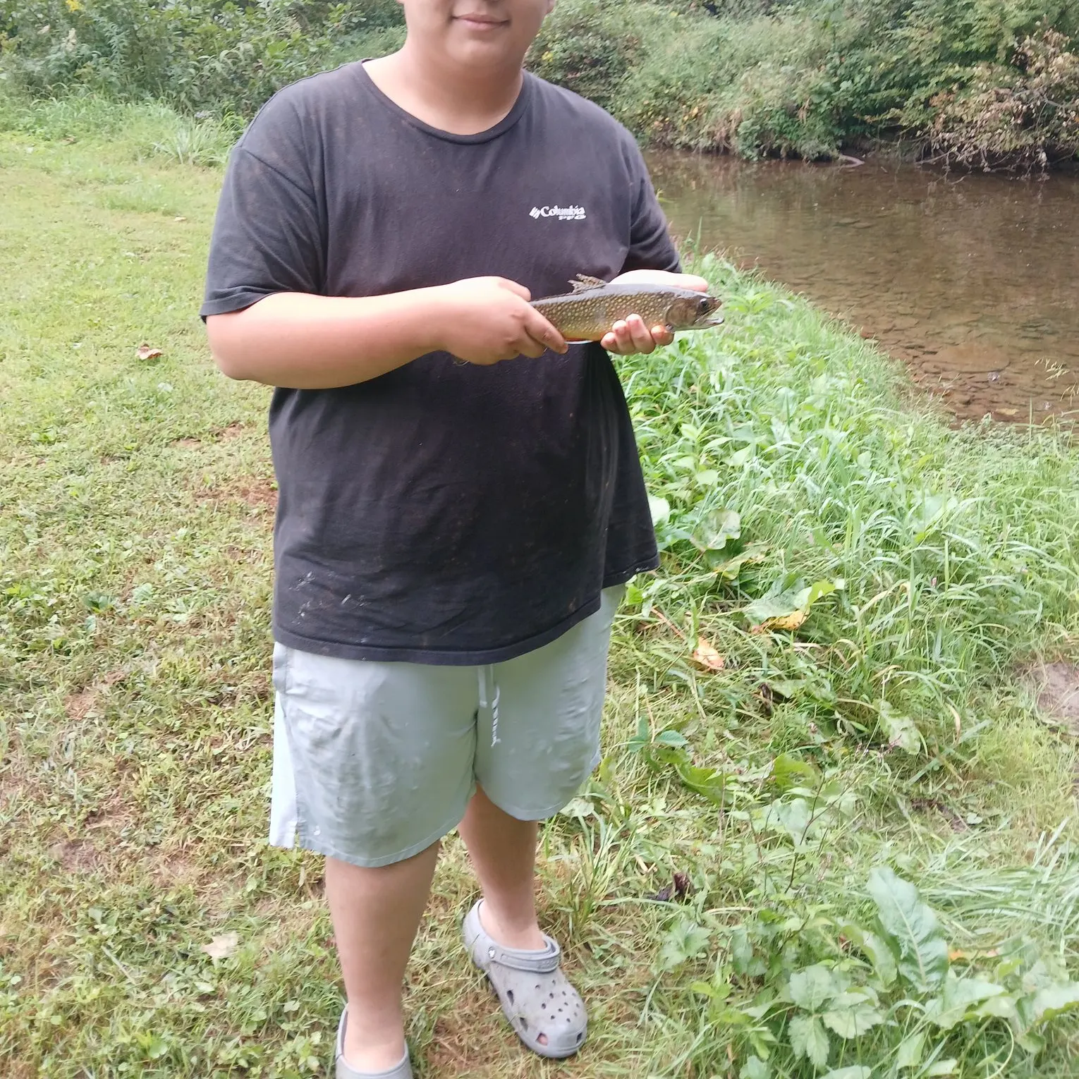 Brook trout caught on Fishbrain