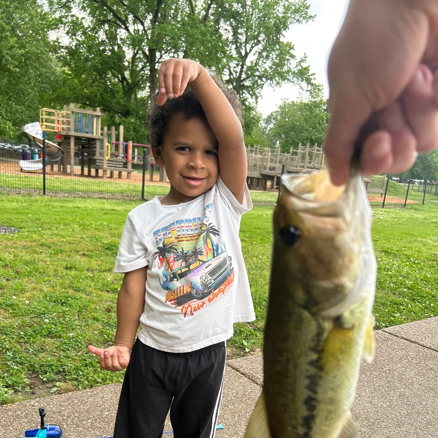 angler catch