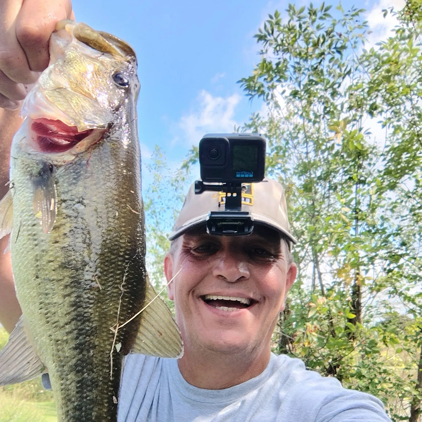 Largemouth bass caught on Fishbrain