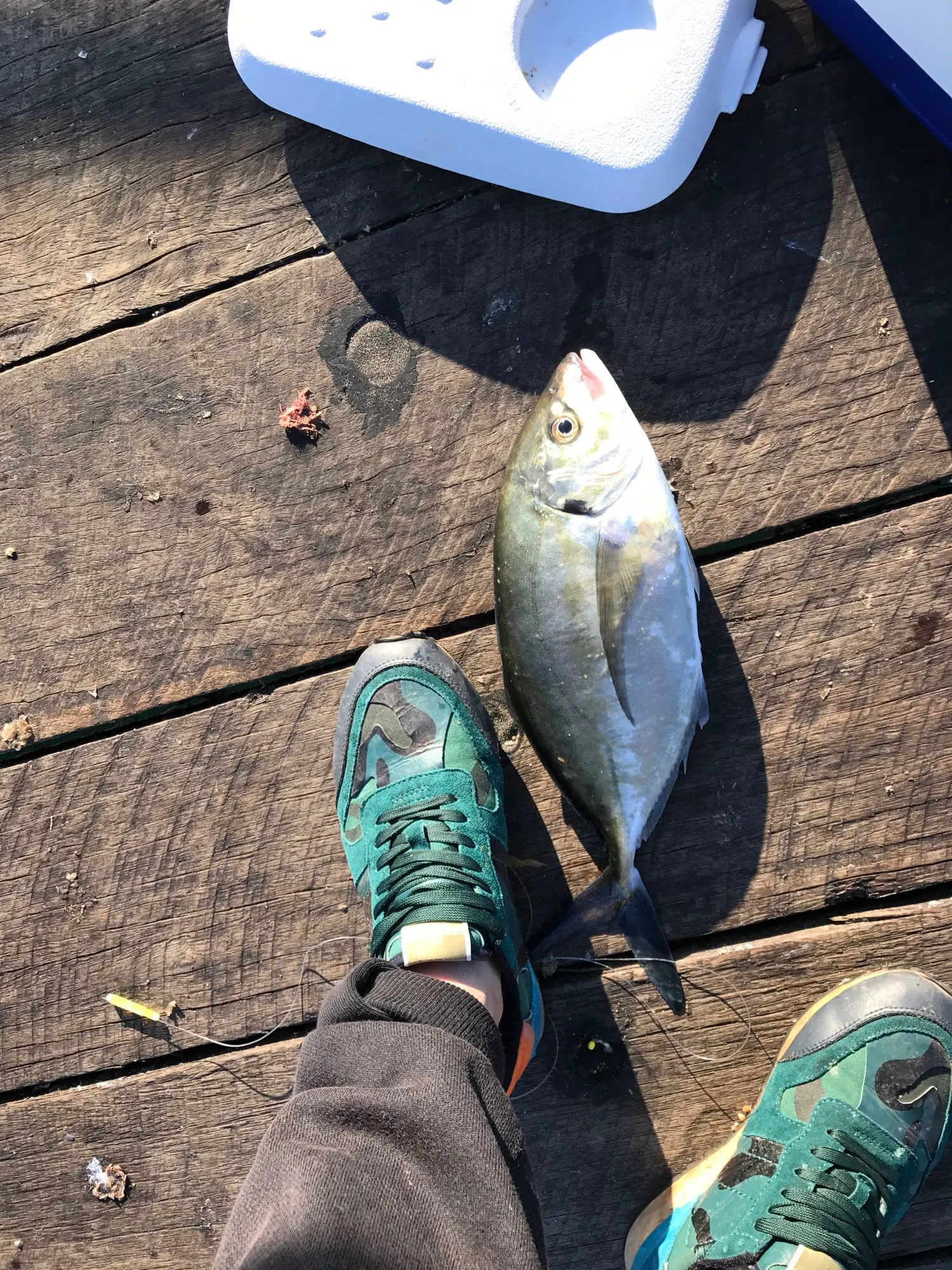 Post image from jzhao6809