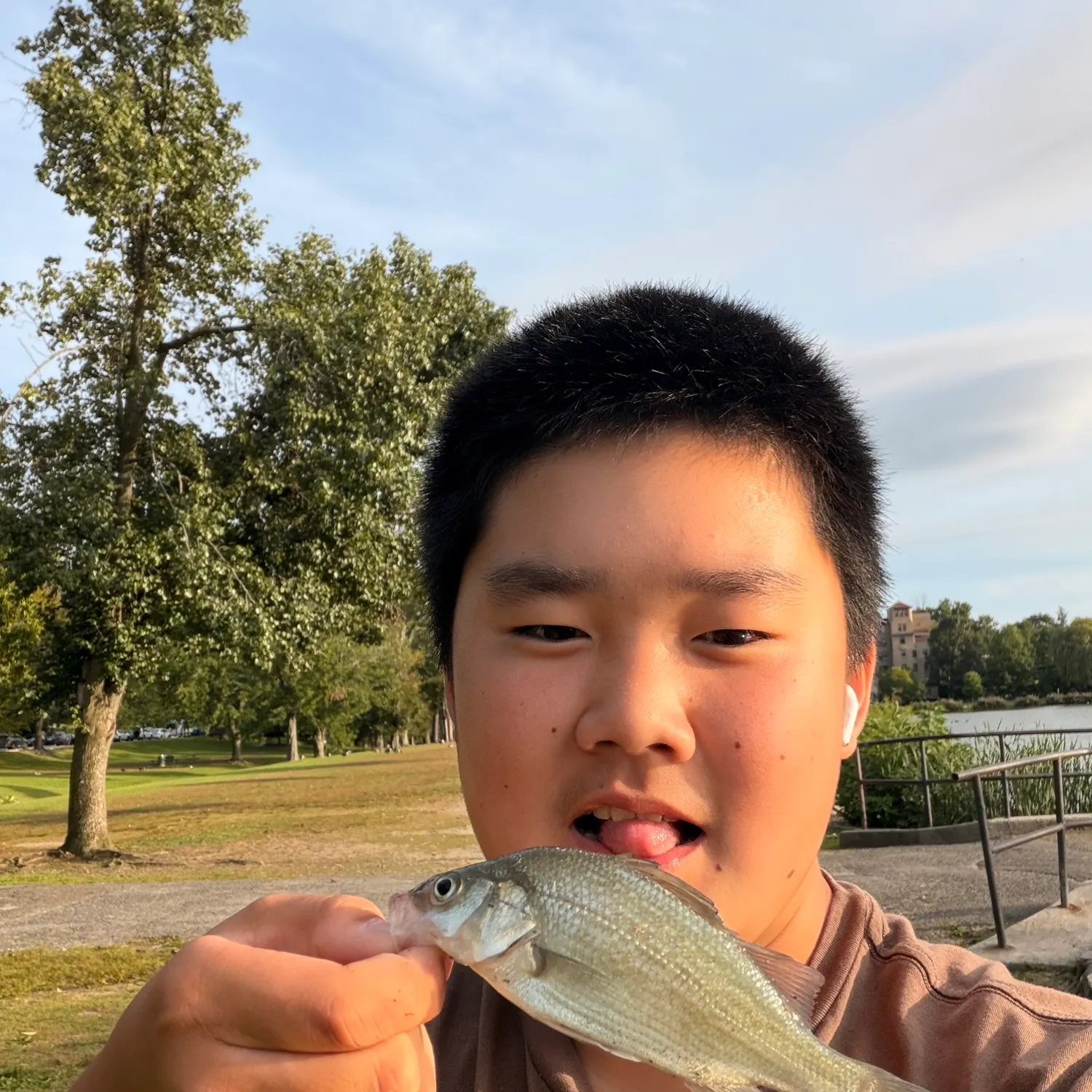 White perch caught on Fishbrain