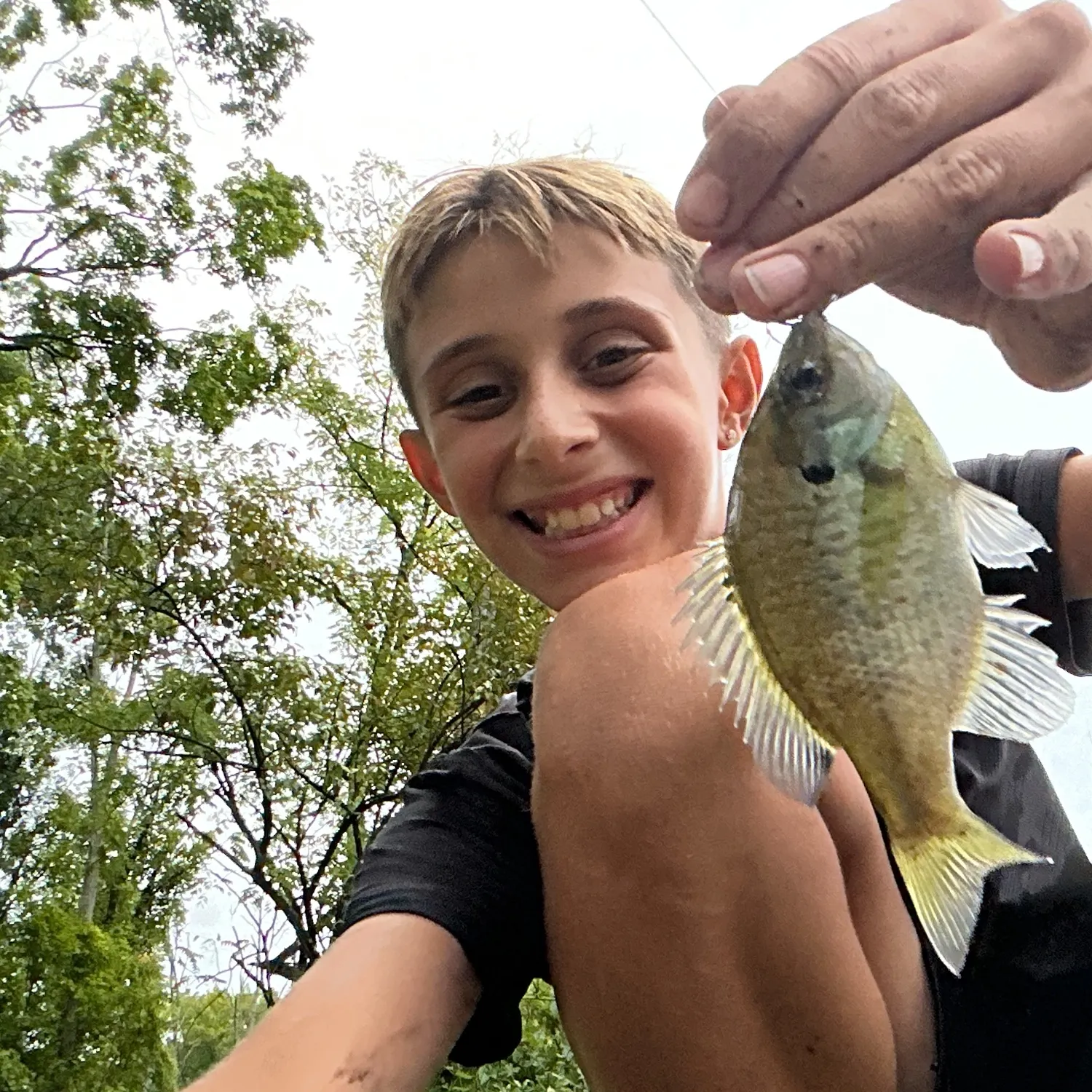 Bluegill caught on Fishbrain