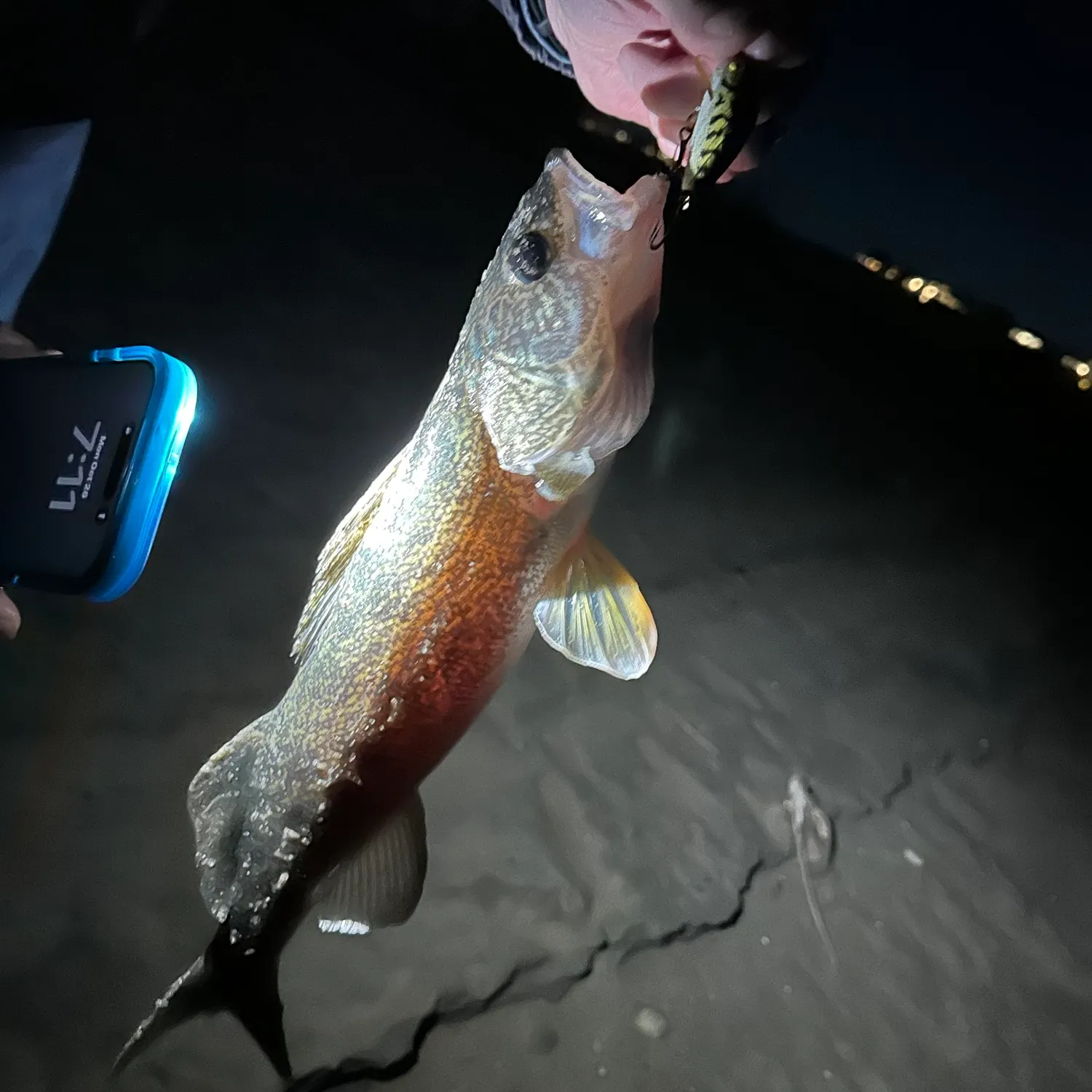 Walleye caught on Fishbrain
