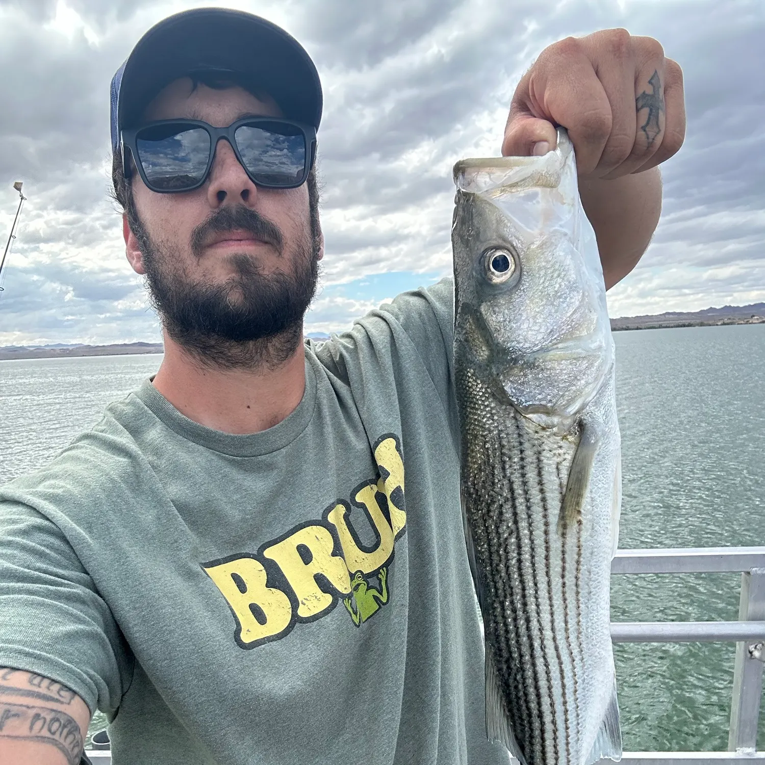Striped bass caught on Fishbrain
