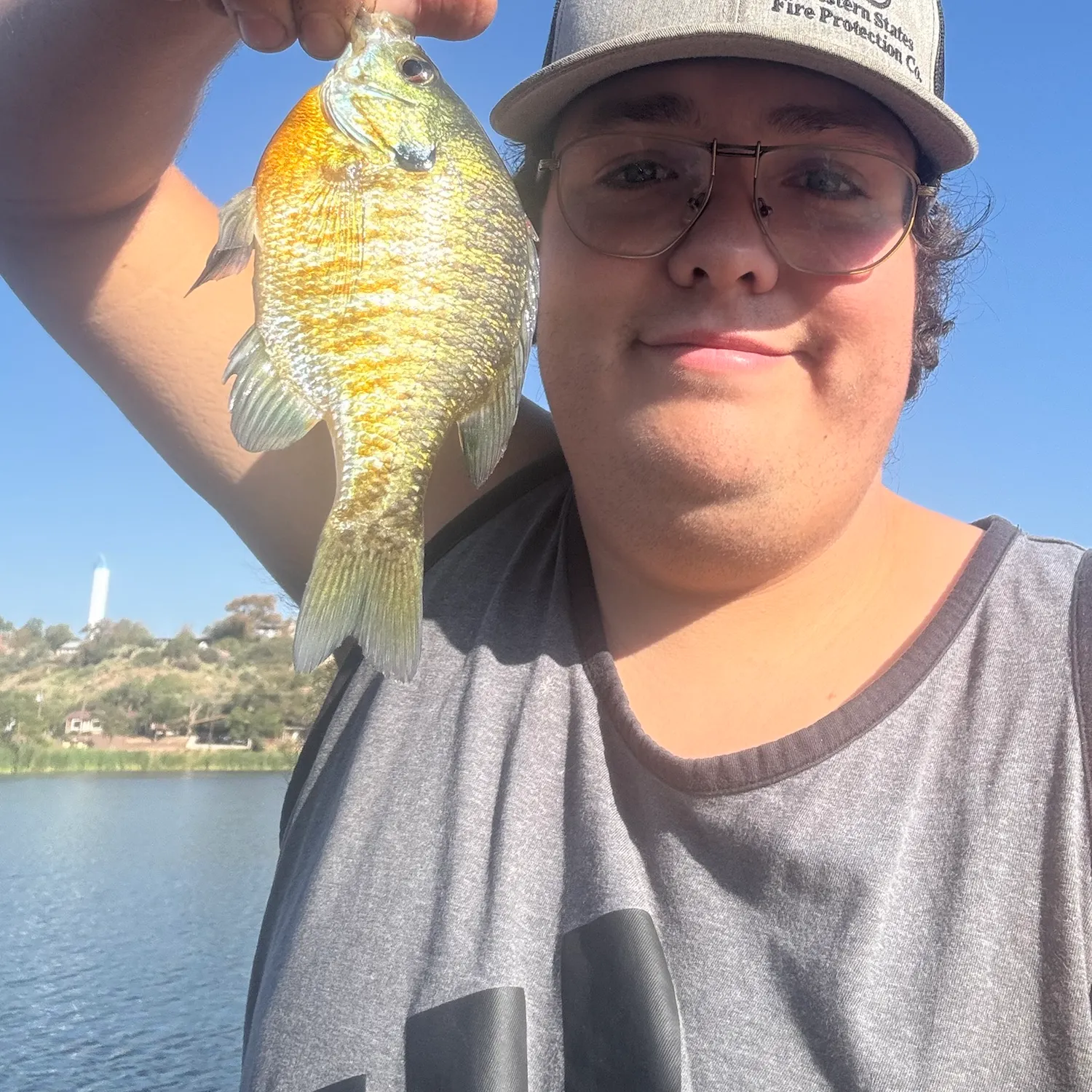 Fish caught on Fishbrain
