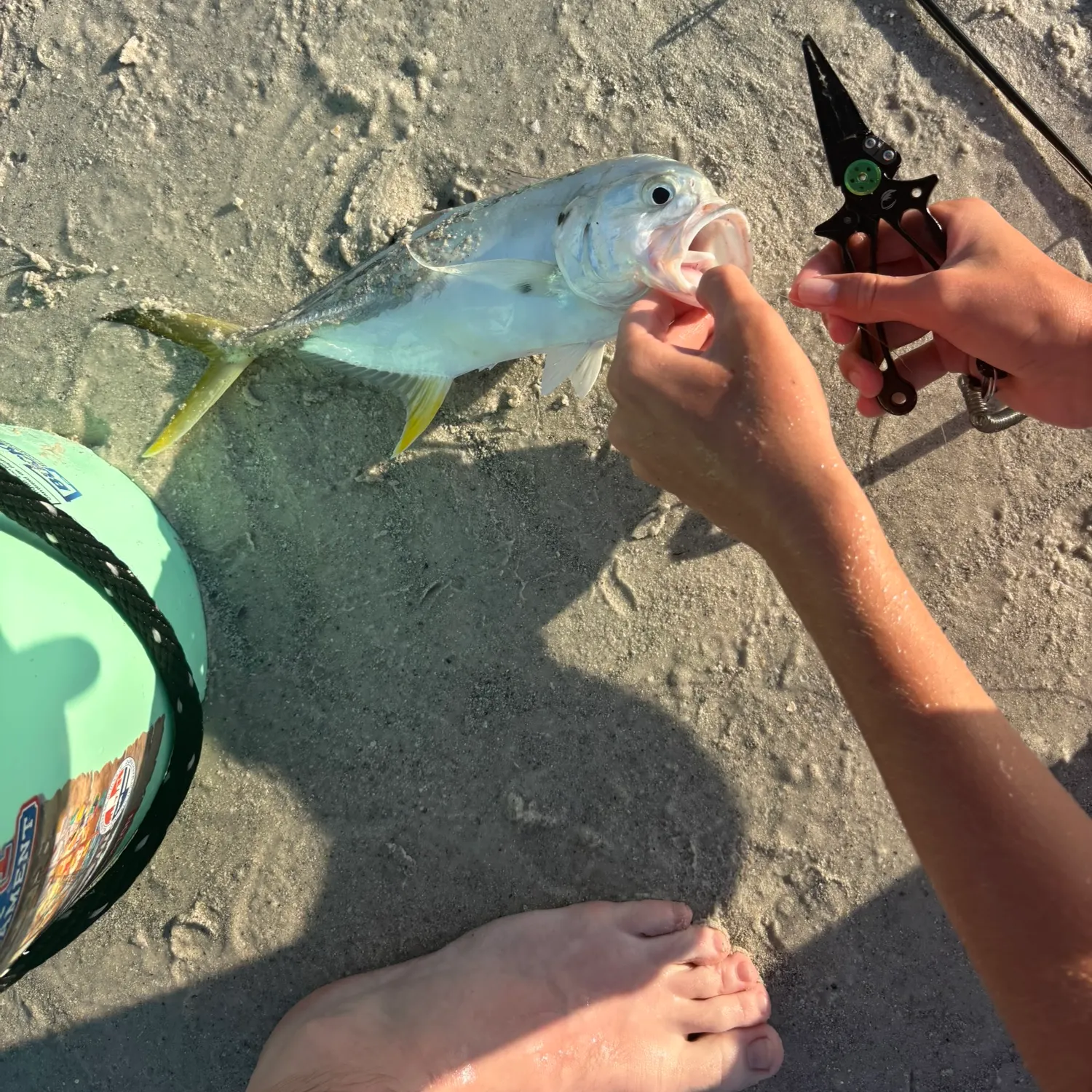 catch