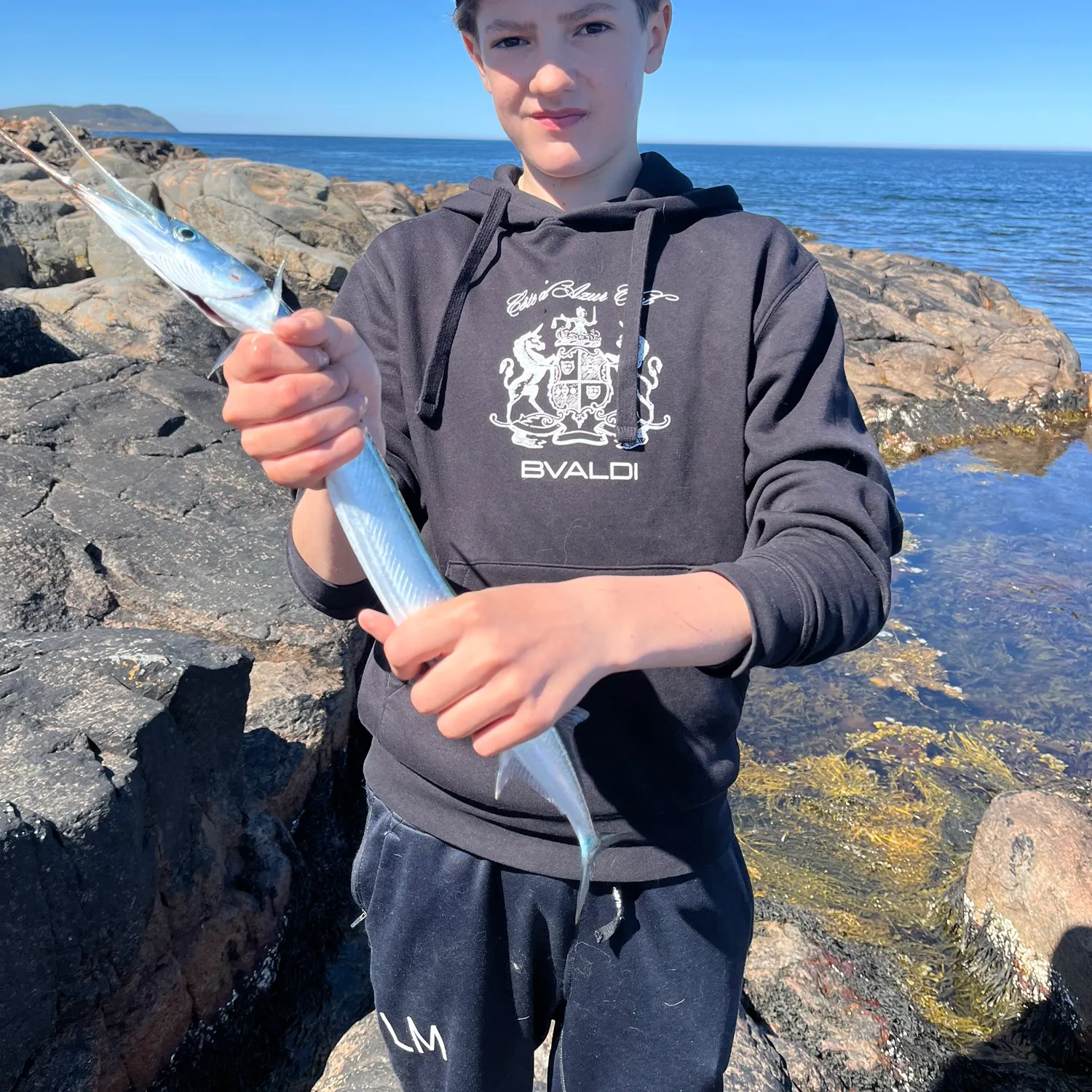 The most recent European garfish catches on Fishbrain