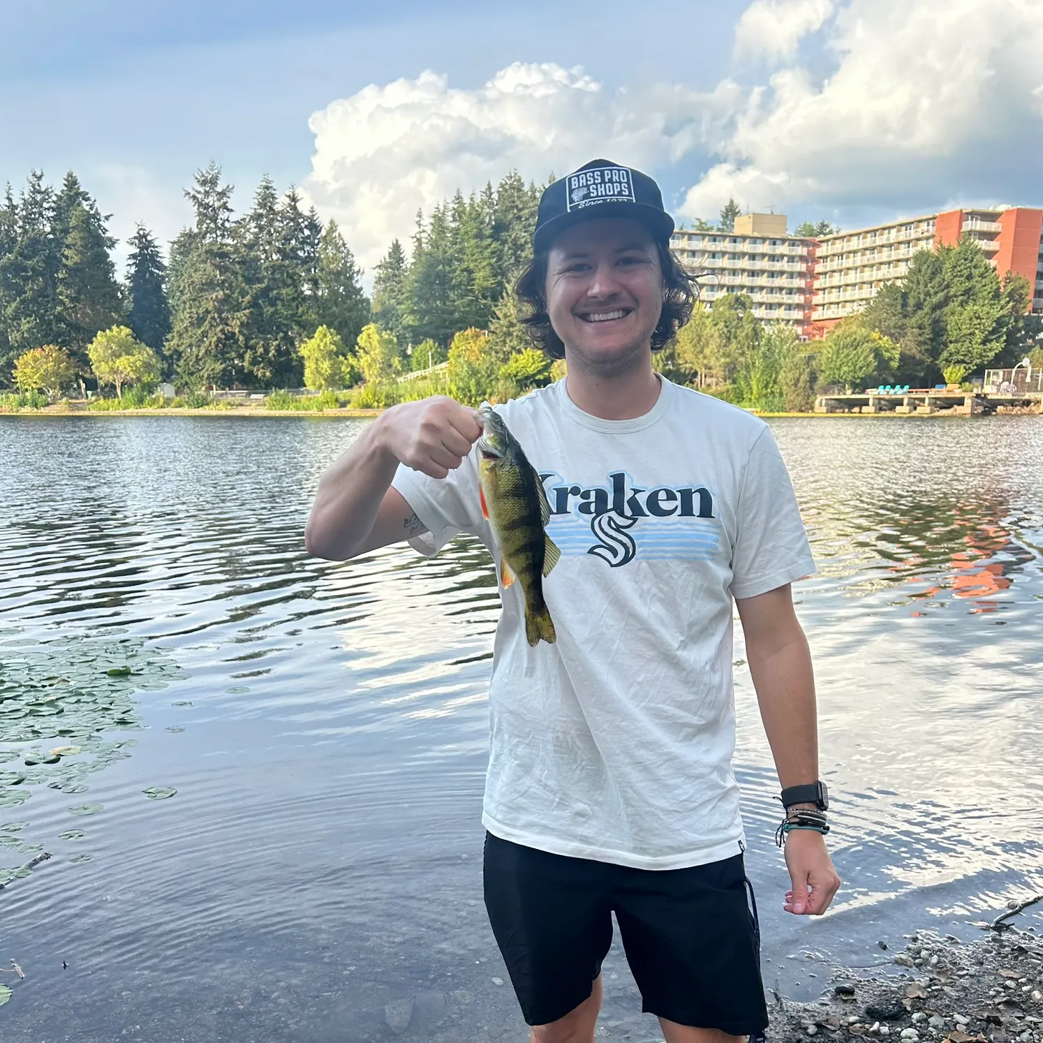 Yellow perch caught on Fishbrain