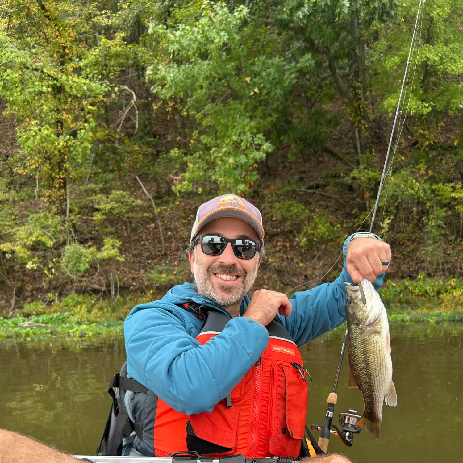 Spotted bass caught on Fishbrain