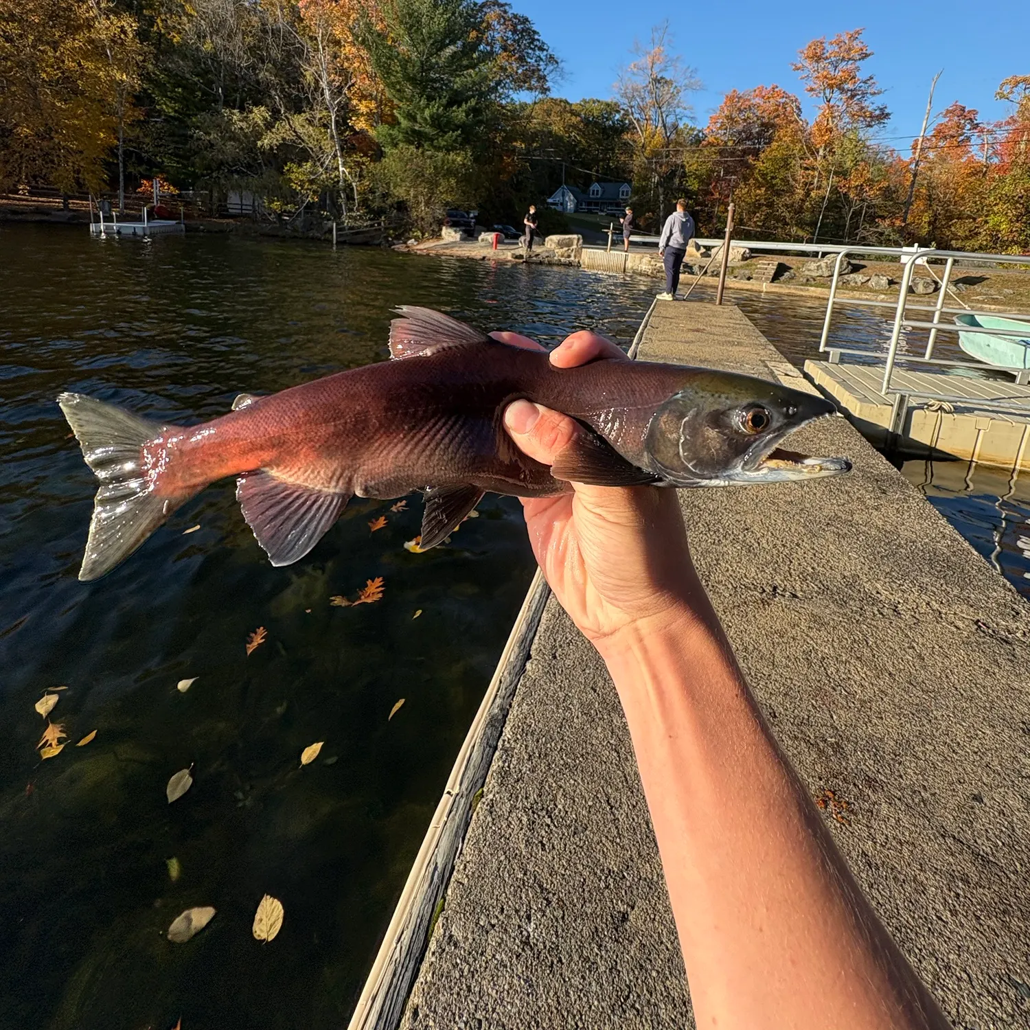 catch