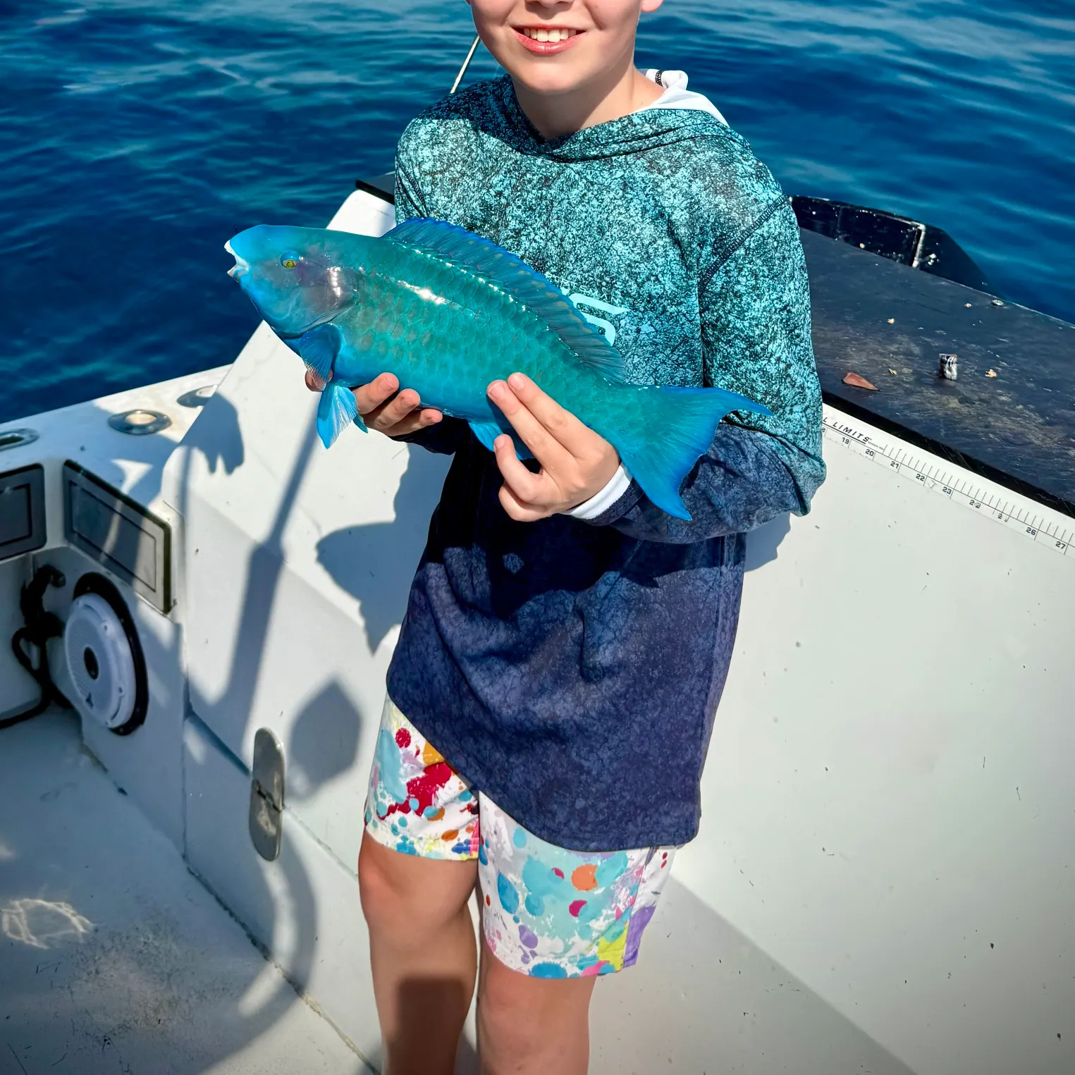 The most recent Blue parrotfish catches on Fishbrain