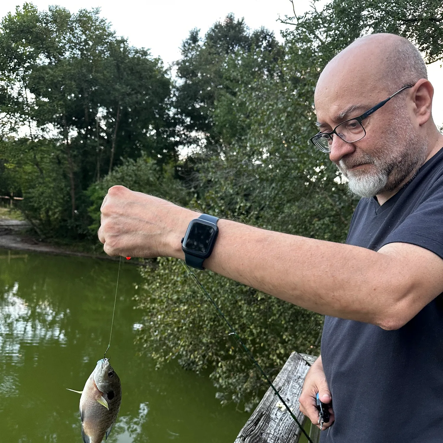 Bluegill caught on Fishbrain