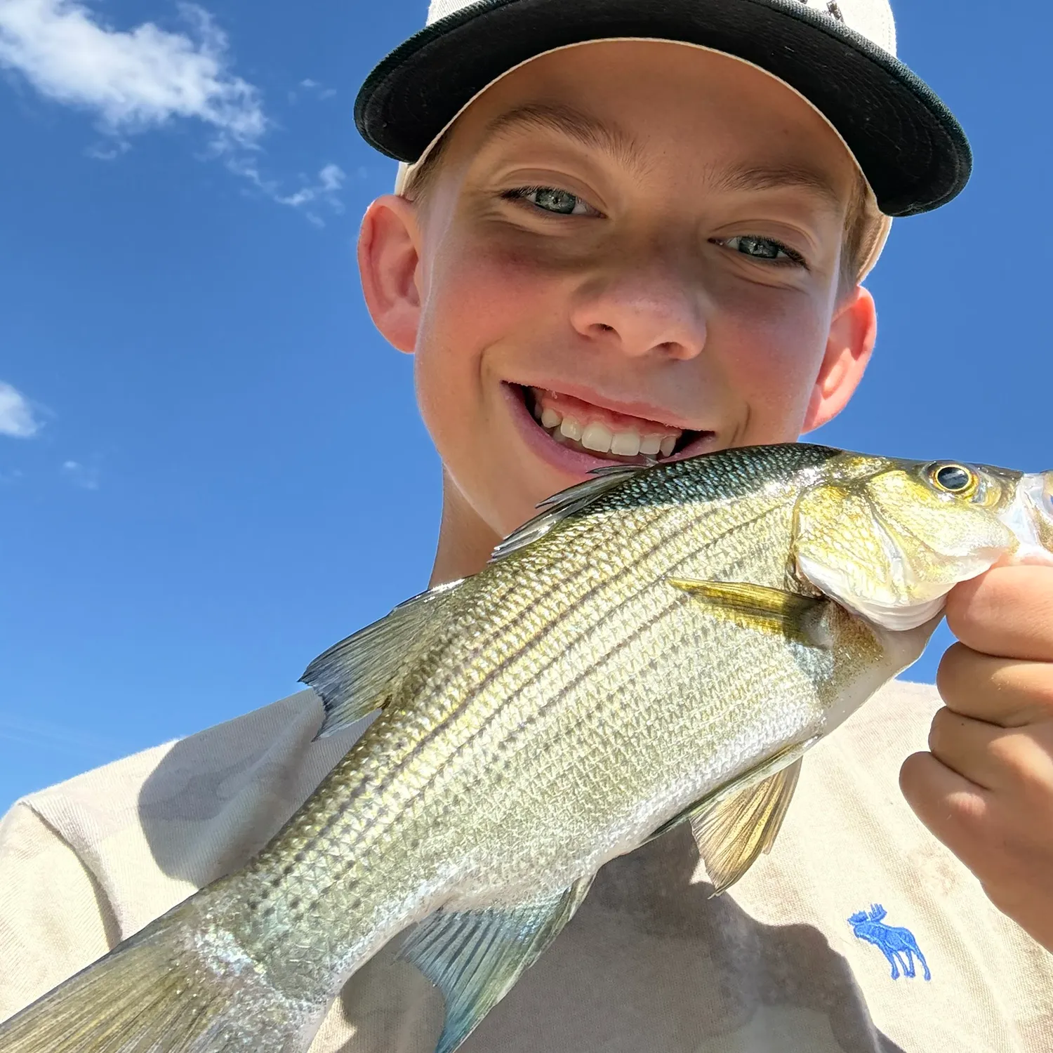 White bass caught on Fishbrain