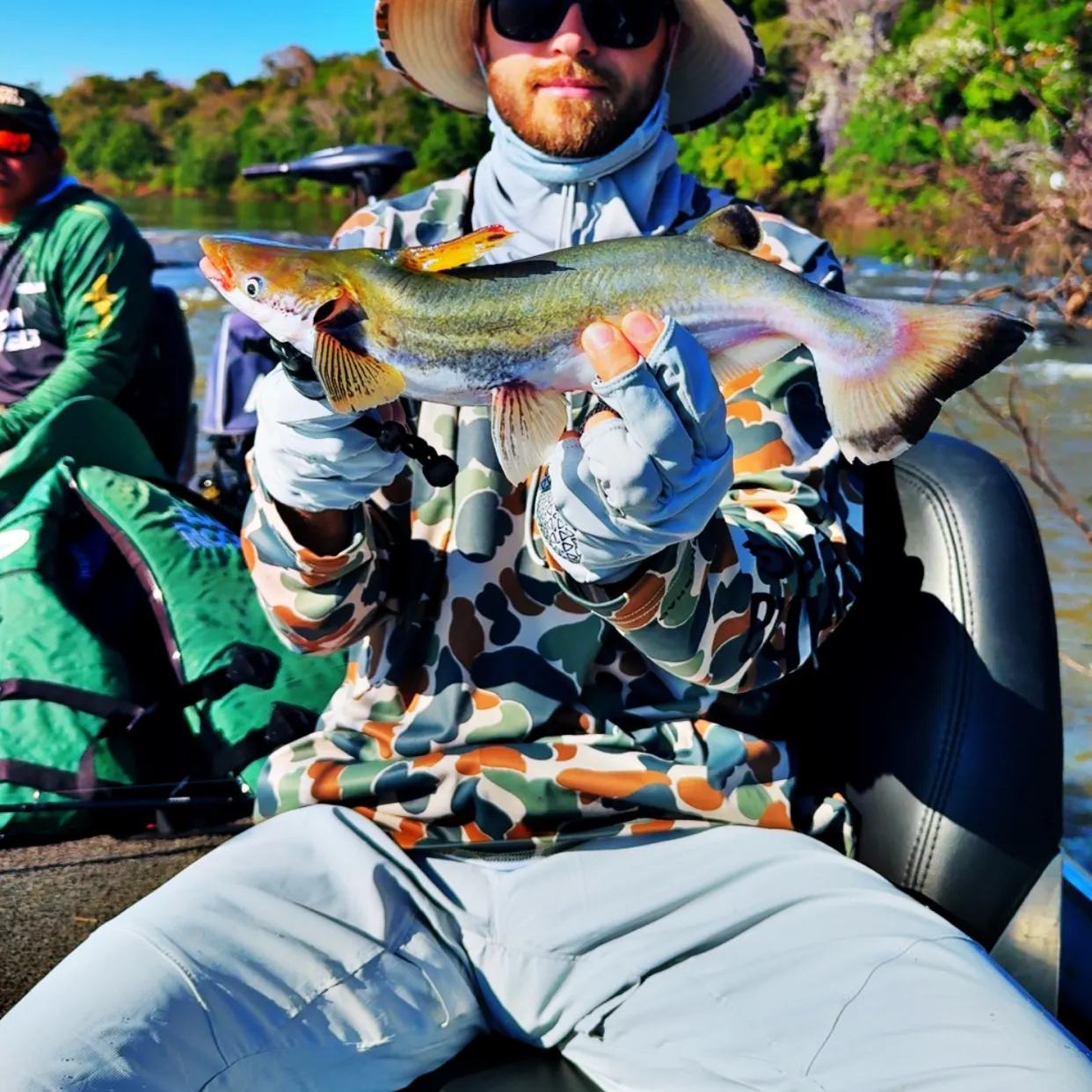 The most recent Granulated catfish catches on Fishbrain