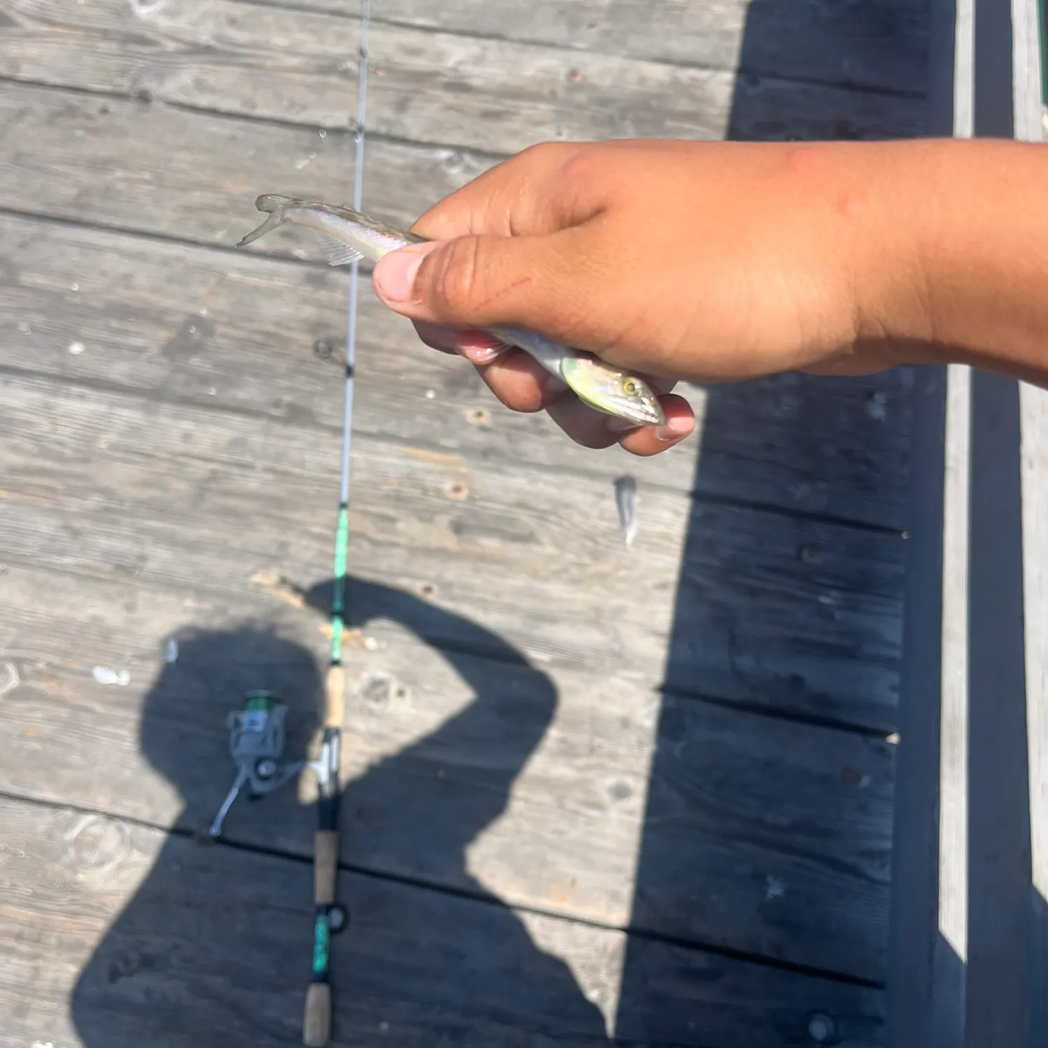 most liked catch image