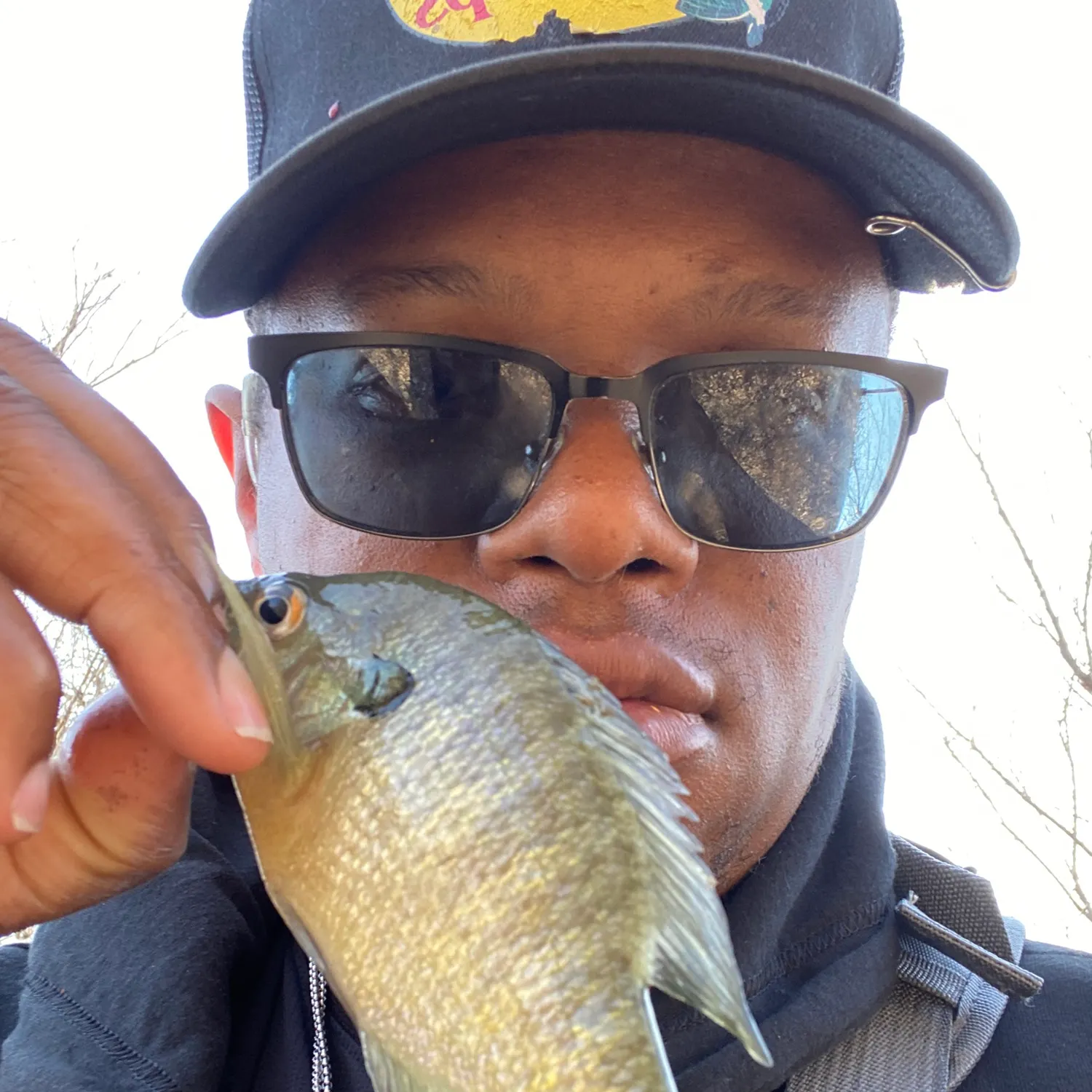 The most recent Greengill hybrid catches on Fishbrain