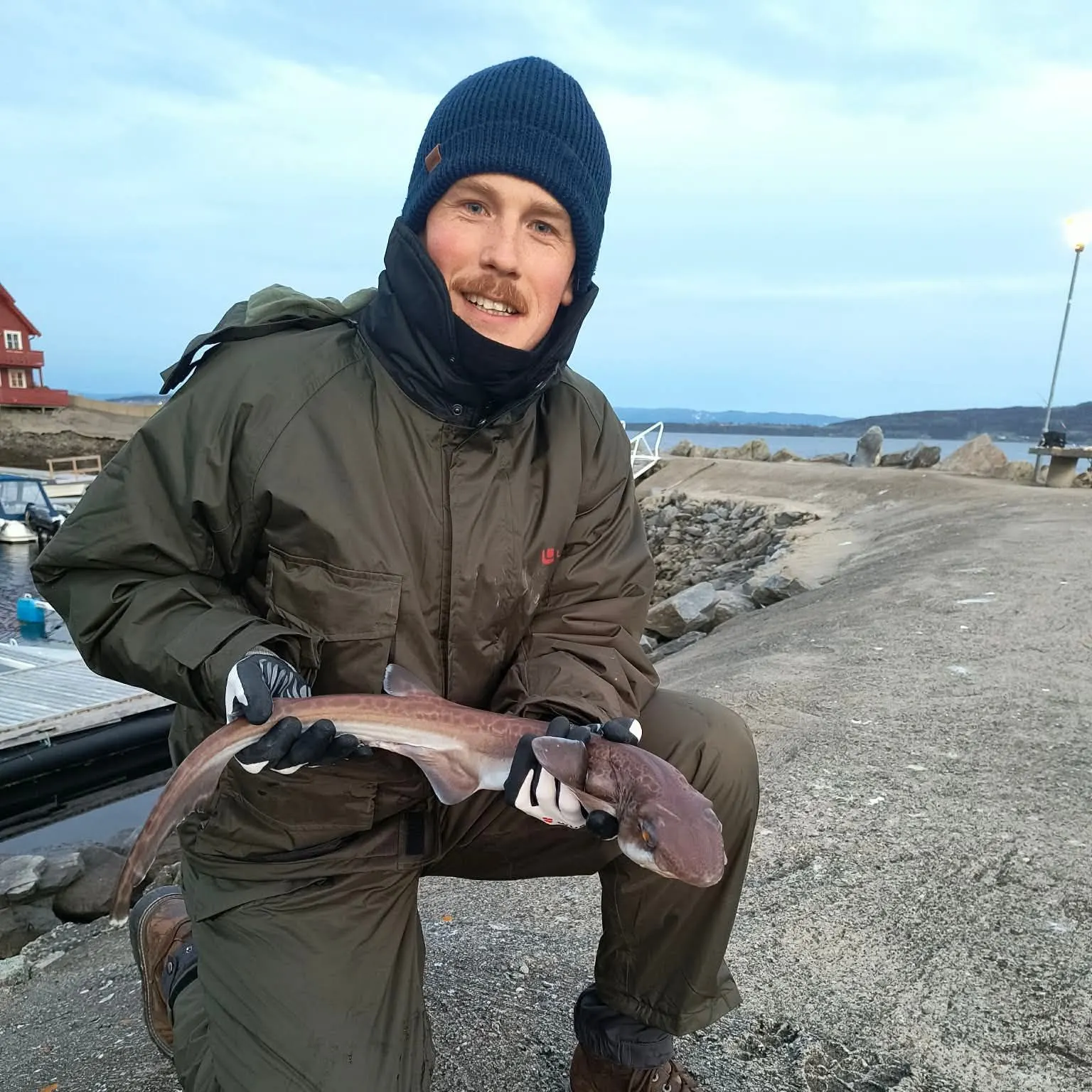 The most recent Blackmouth catshark catches on Fishbrain