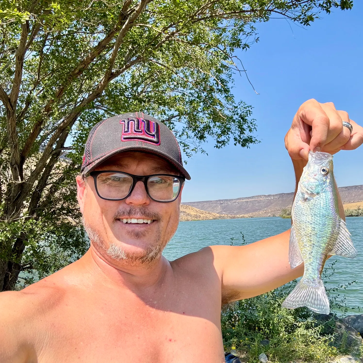 White crappie caught on Fishbrain