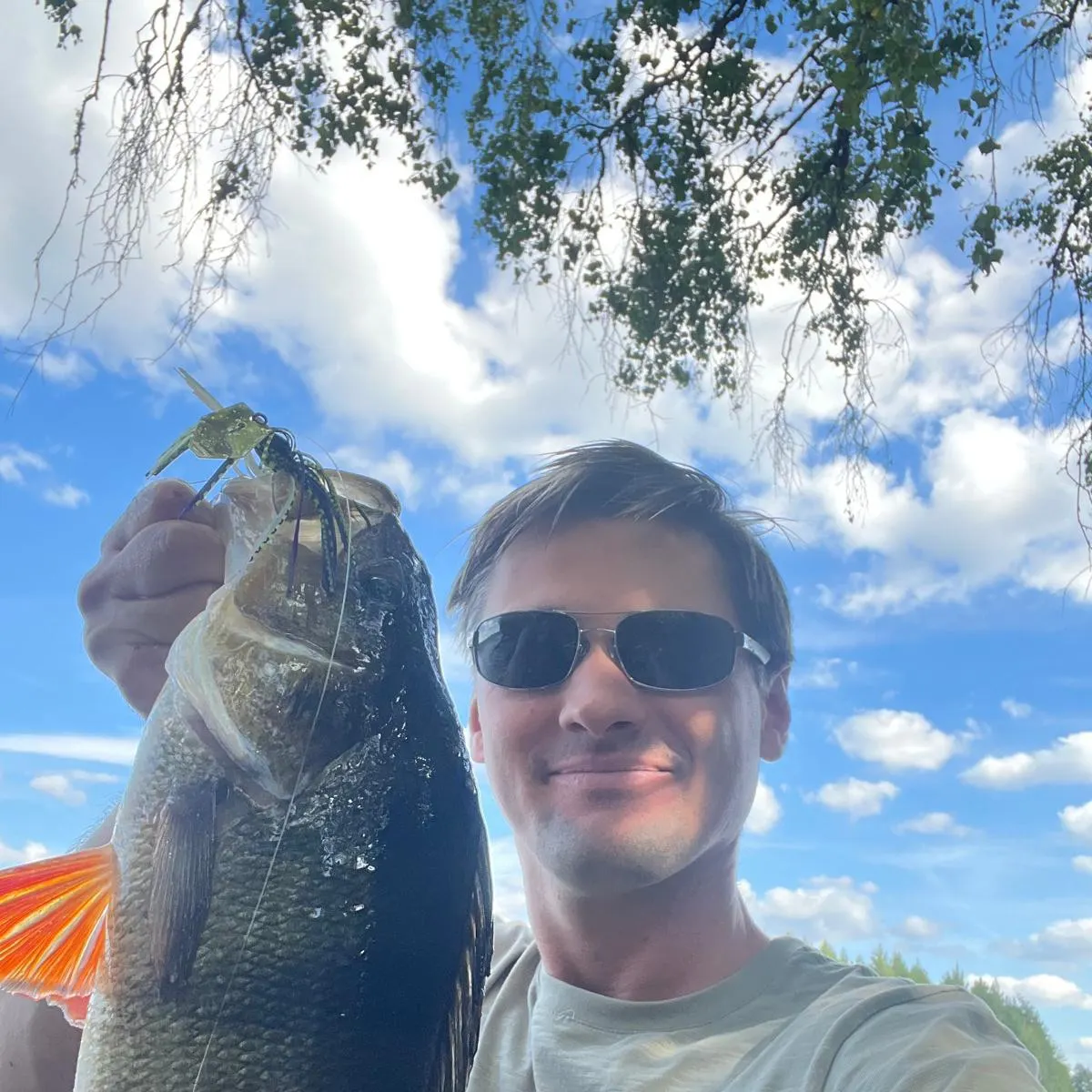 European perch caught on Fishbrain