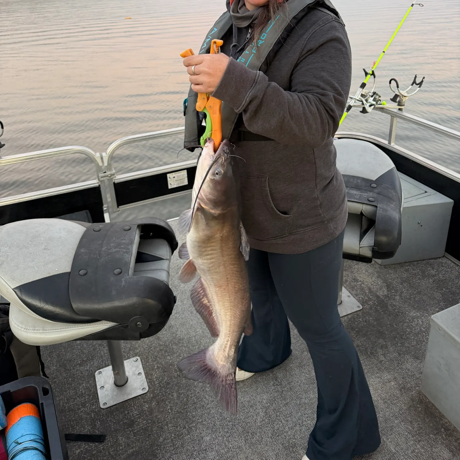 Channel catfish caught on Fishbrain