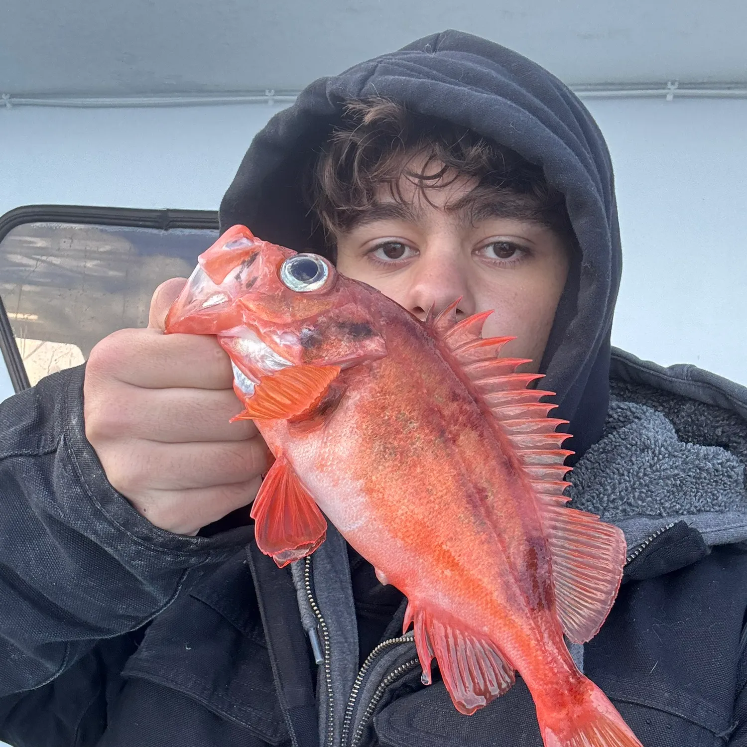 The most recent Acadian Redfish catches on Fishbrain