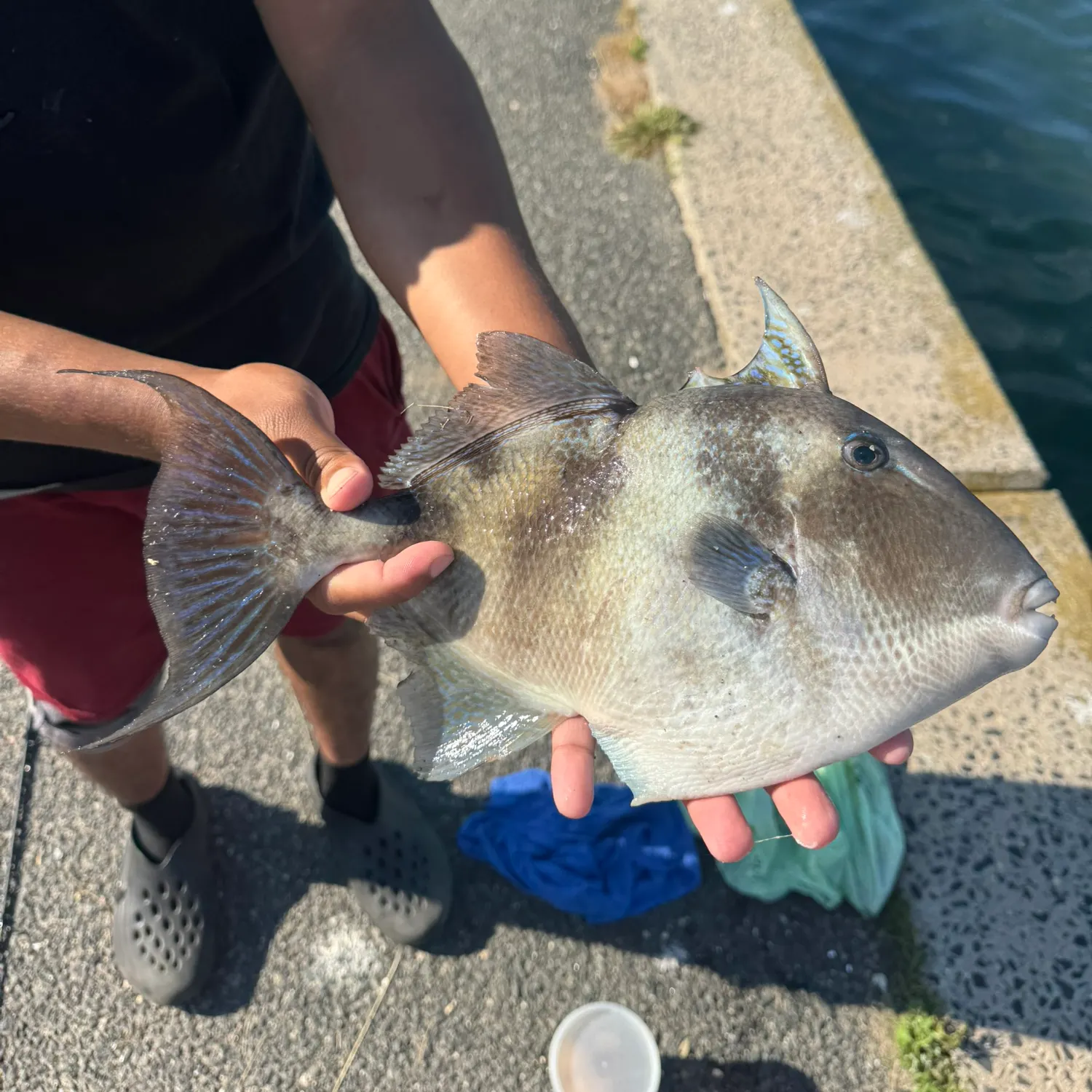 catch
