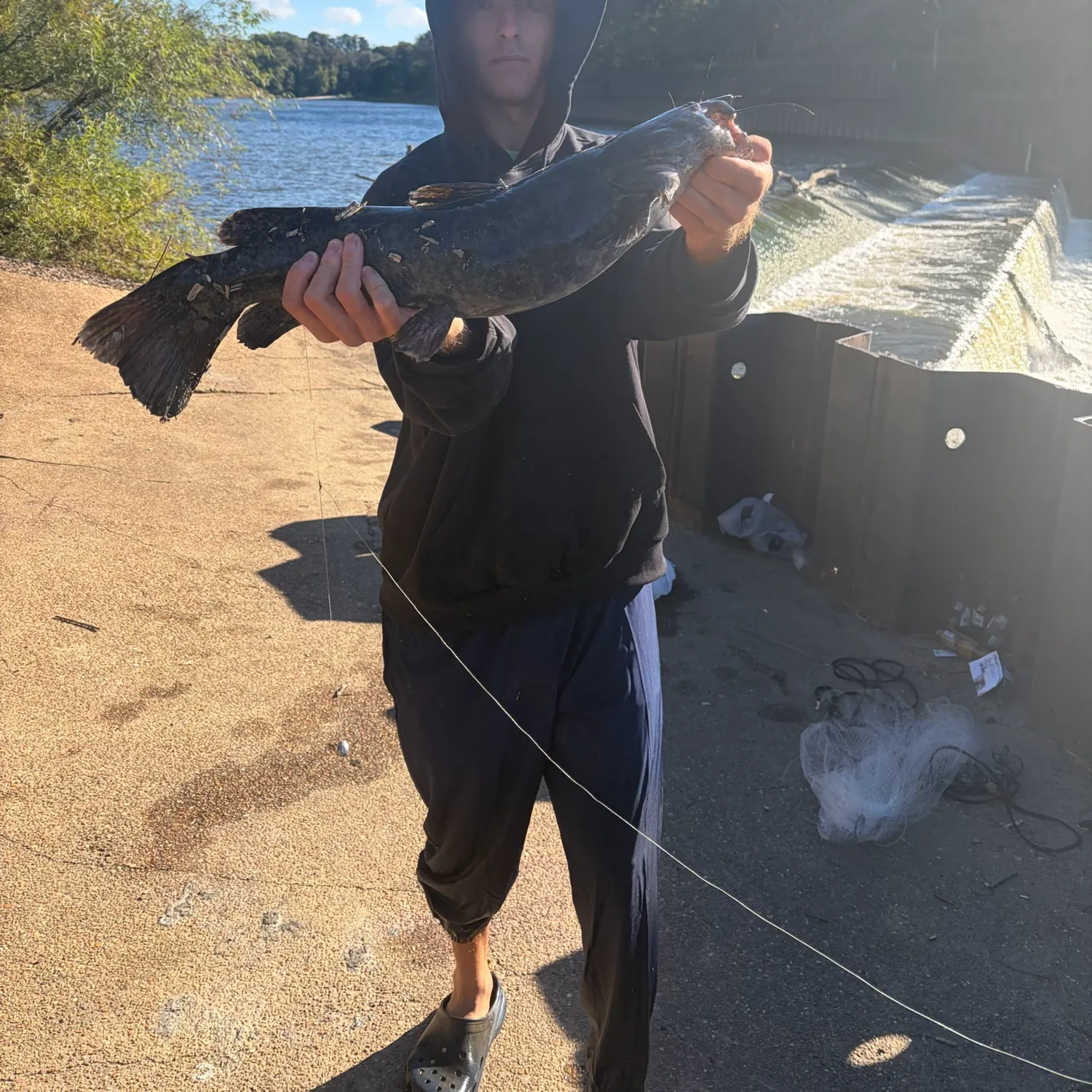 Flathead catfish caught on Fishbrain
