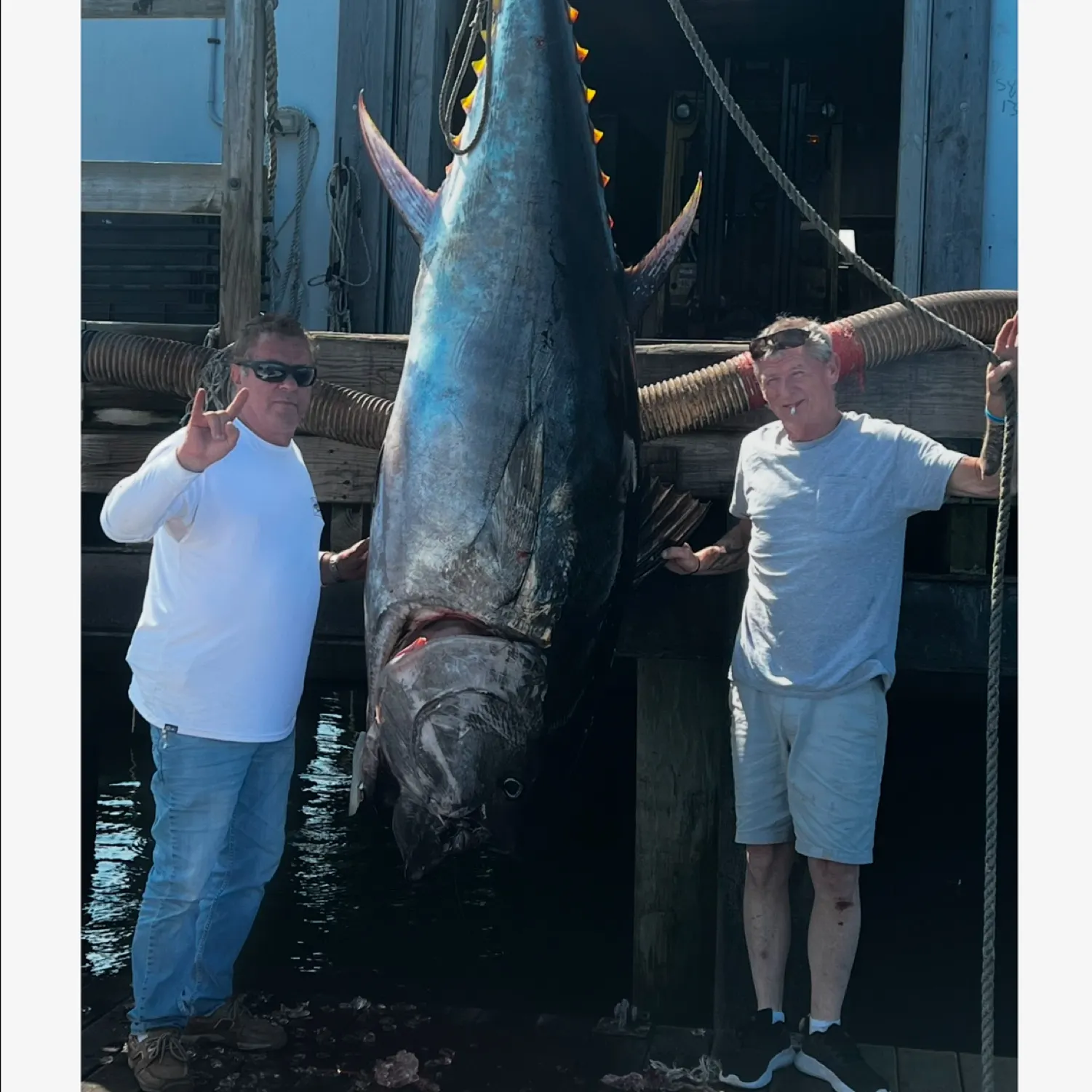 The most recent Atlantic bluefin tuna catches on Fishbrain