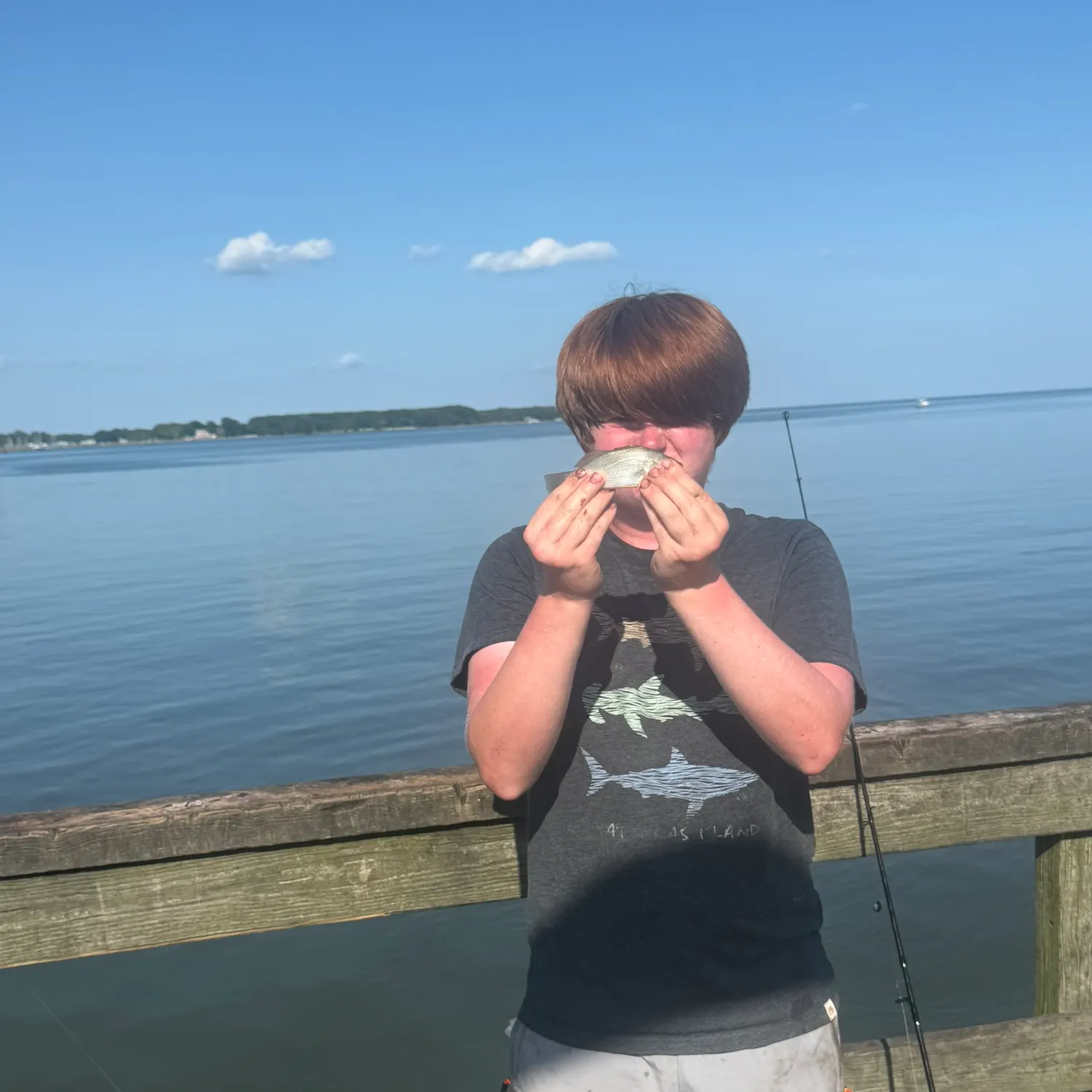 The most recent Silver perch catches on Fishbrain